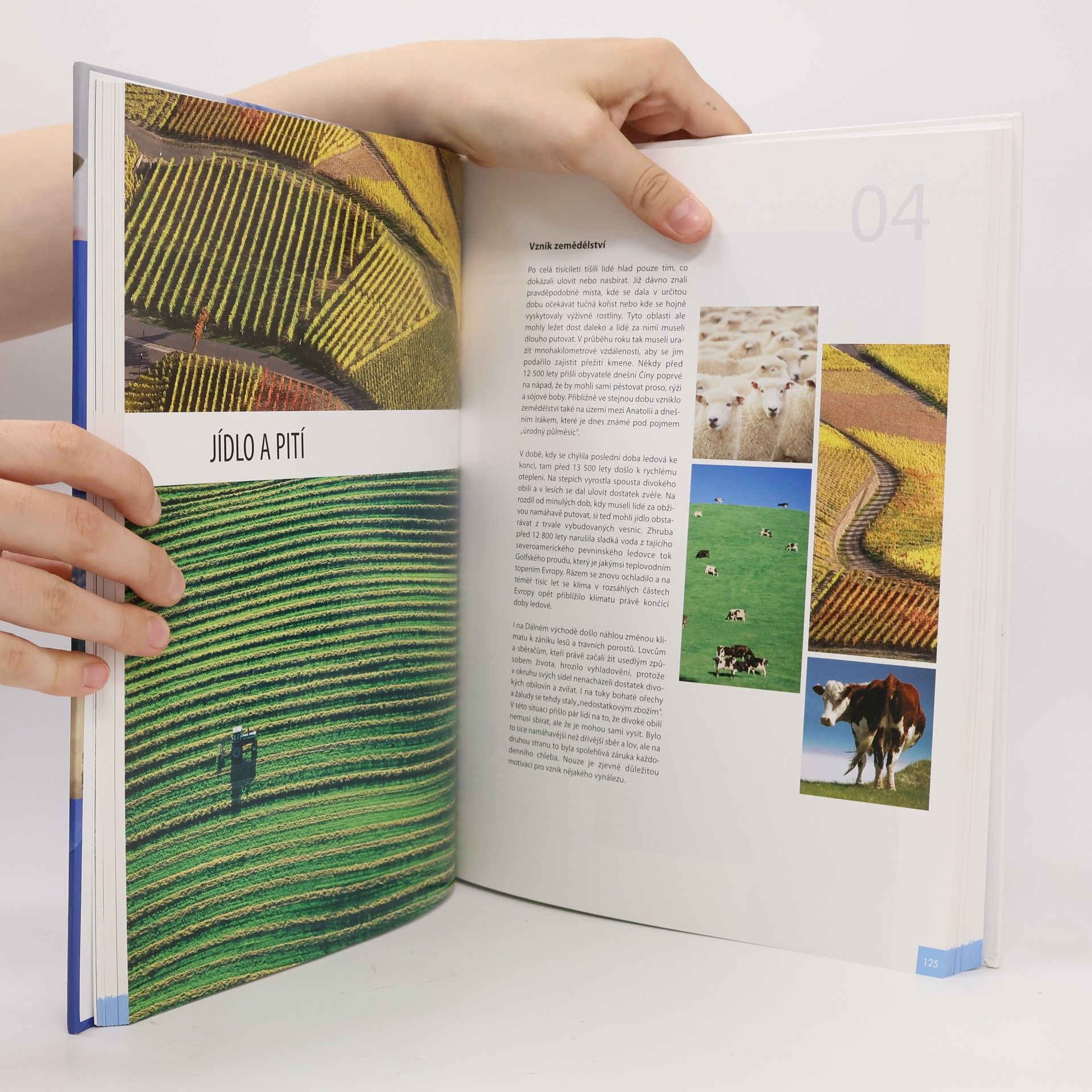 Various authors 1000 vynálezů a objevů : [od pazourku k laseru] Tisíc vynálezů a objevů