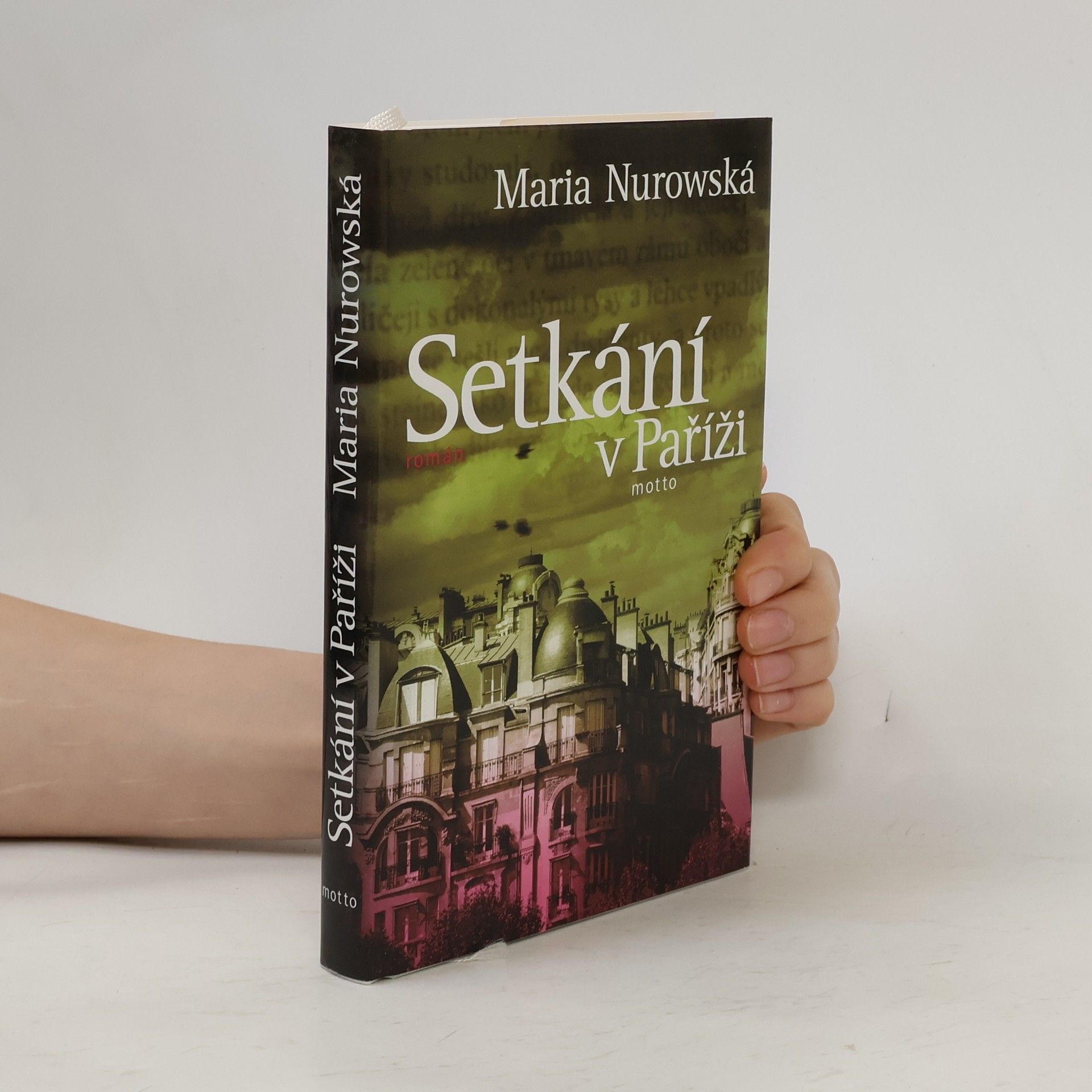 Maria Nurowska Setkání v Paříži