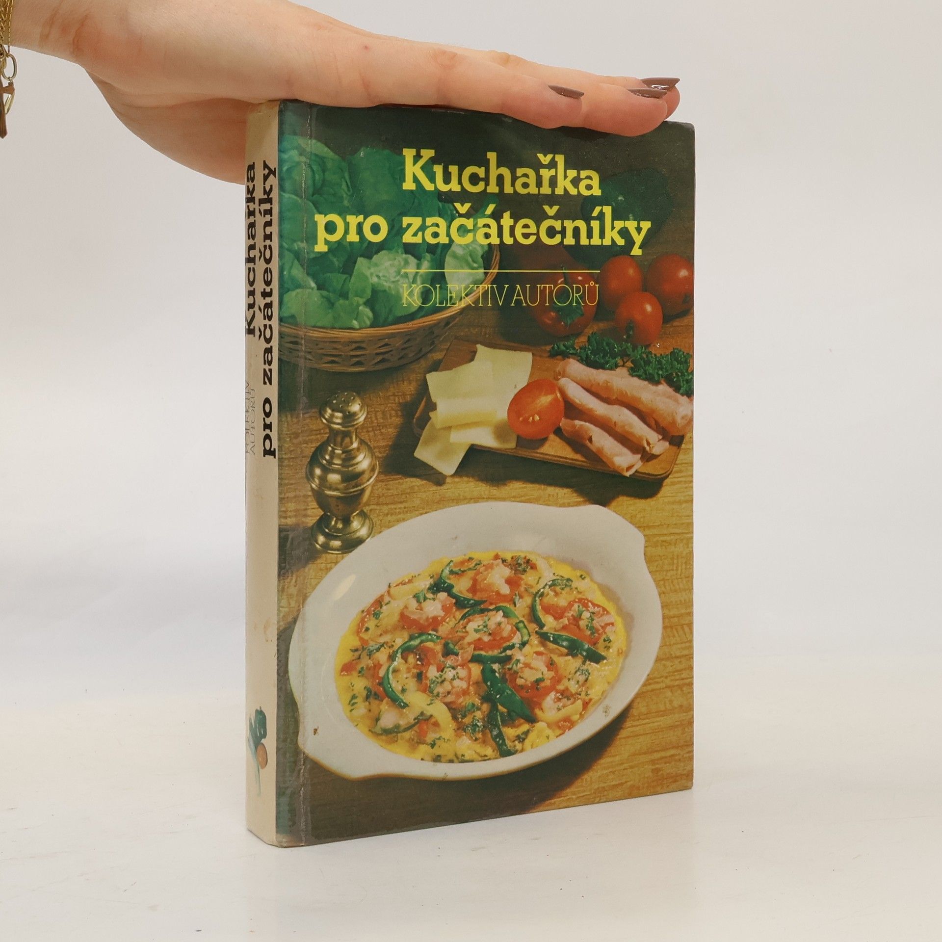 Marie Voldánová Kuchařka pro začátečníky
