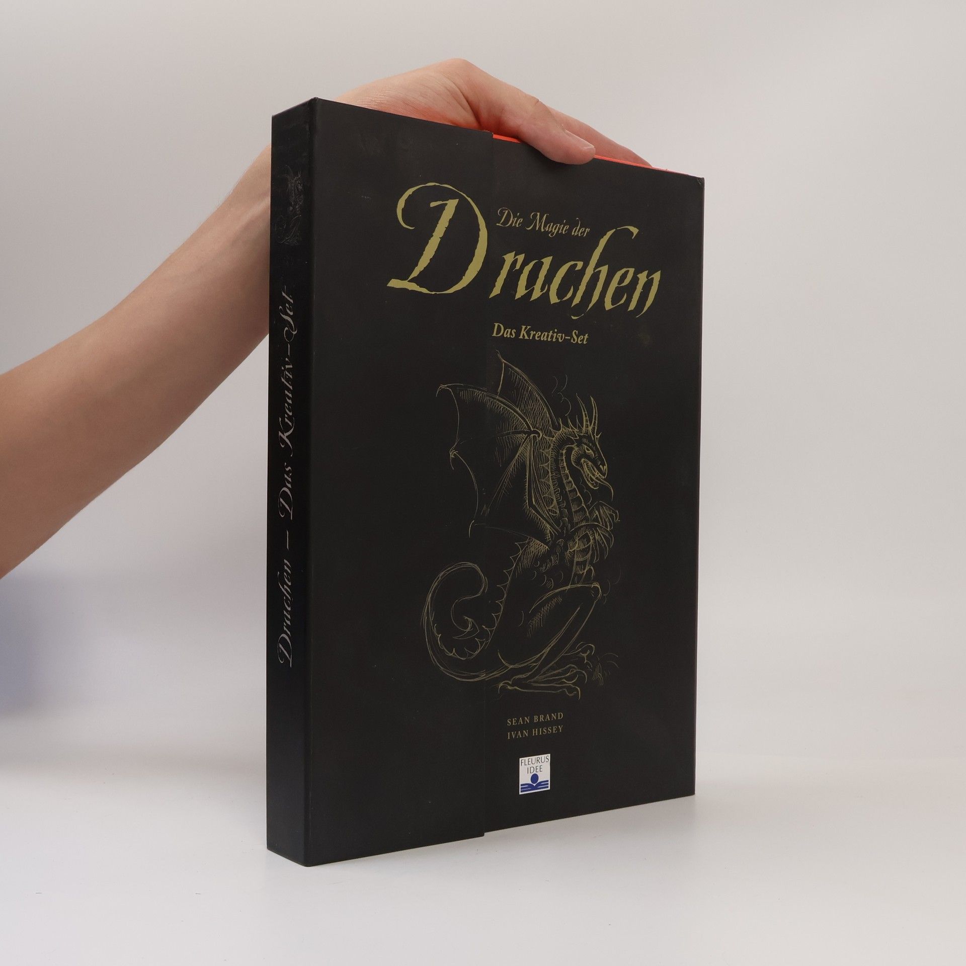 Sean Brand Die Magie der Drachen
