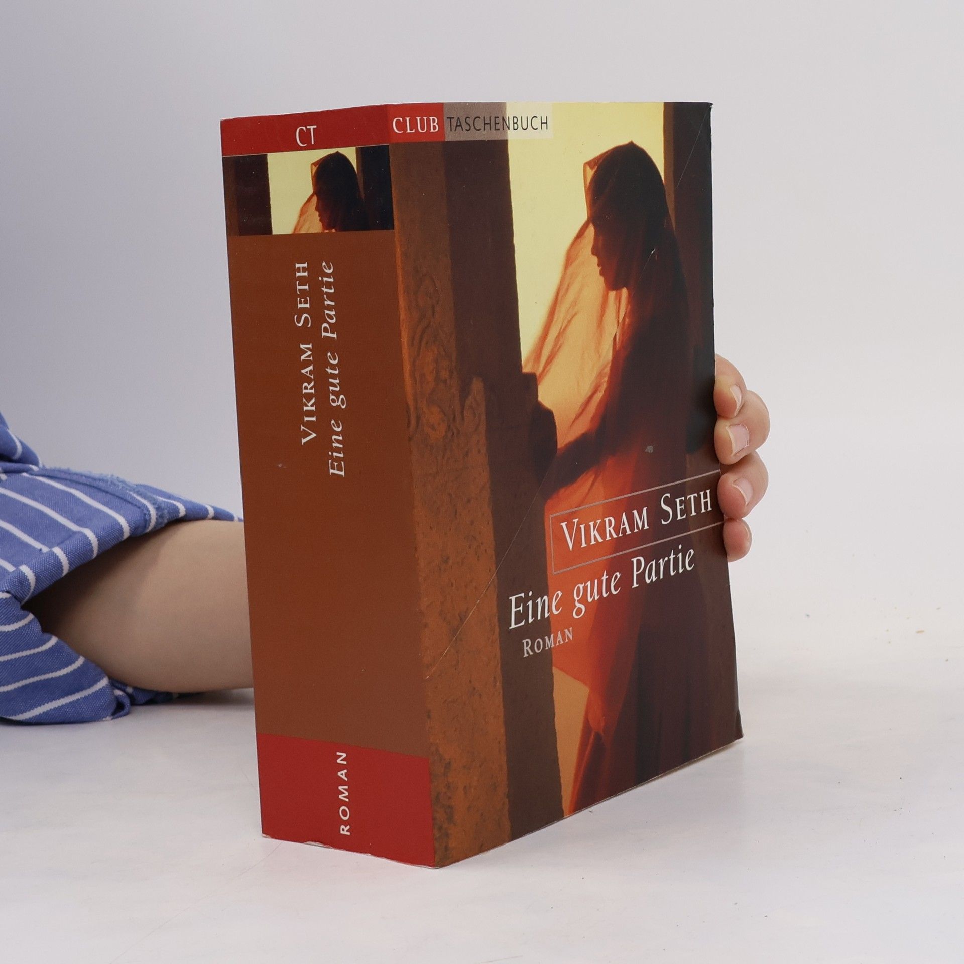 Vikram Seth Eine gute Partie