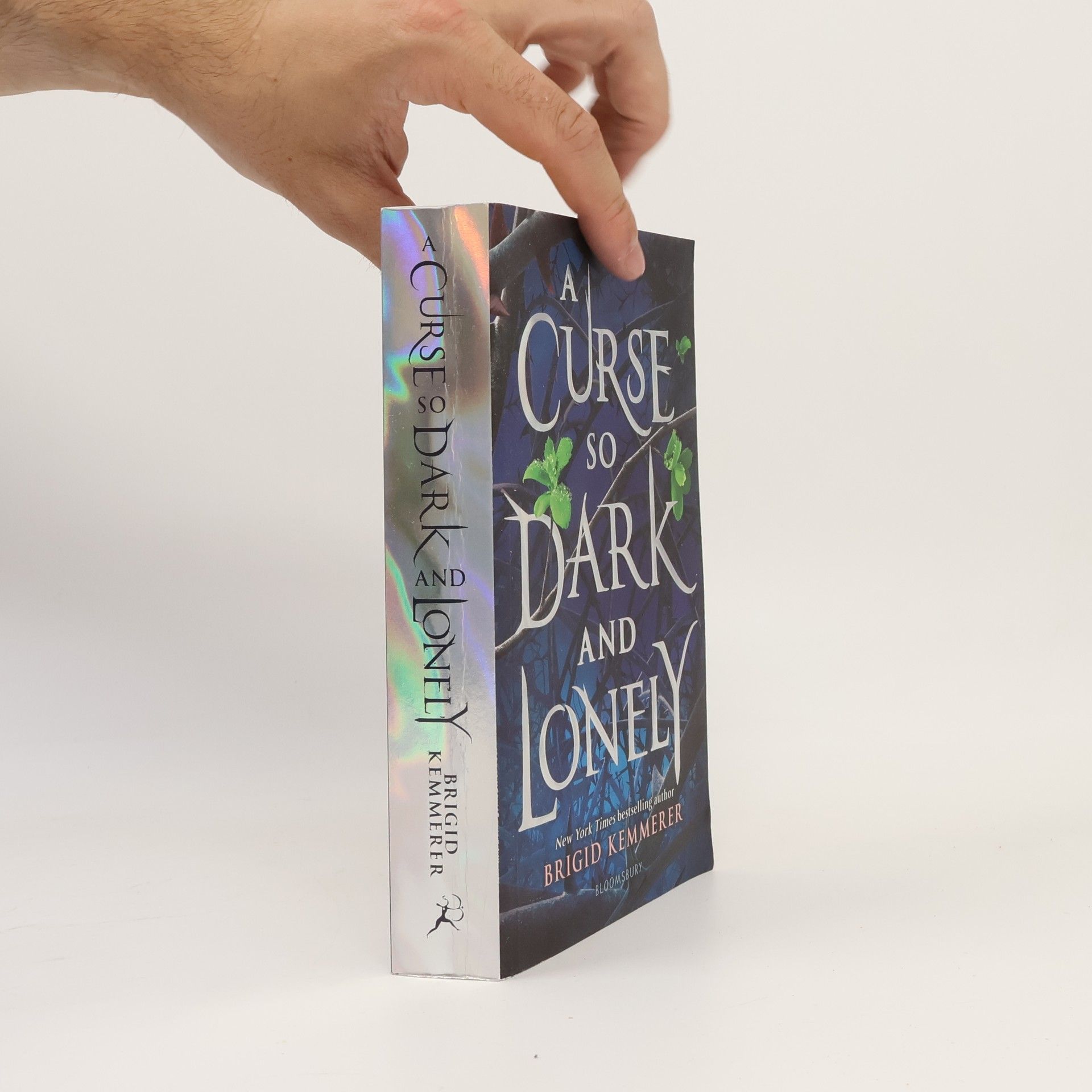 Brigid Kemmerer A curse so dark and lonely (1. díl série)