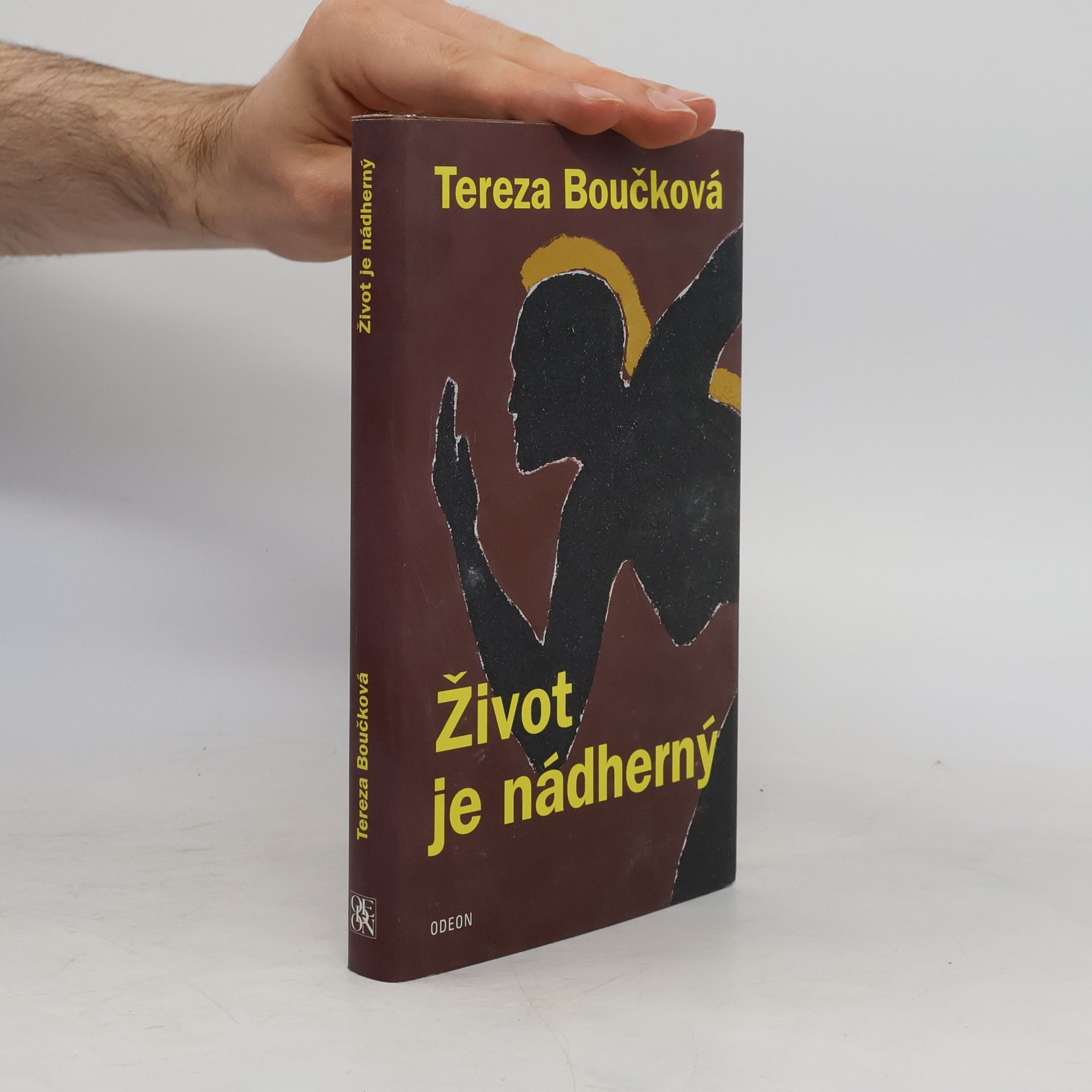 Tereza Boučková Život je nádherný