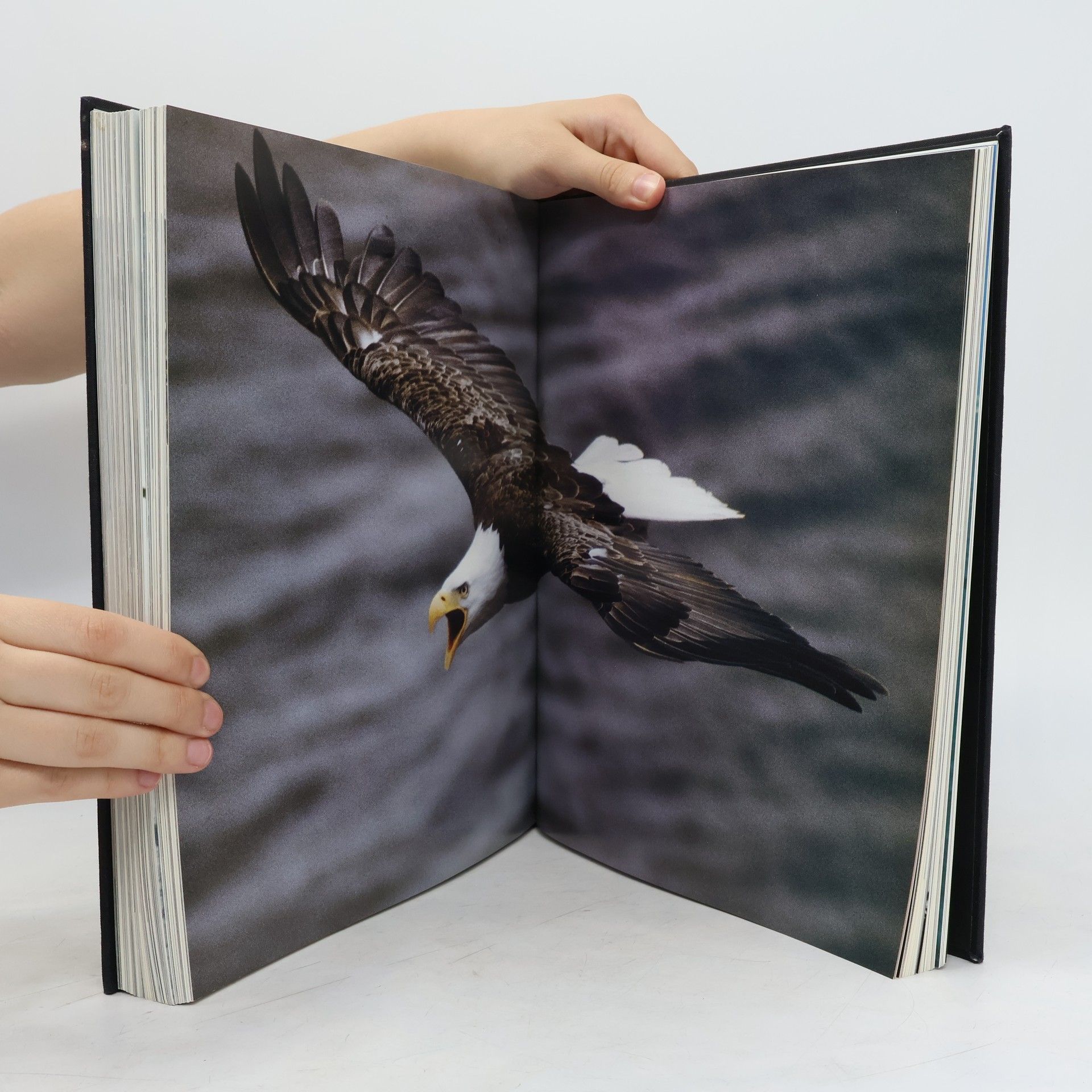 C. D. B. Bryan Das Grosse National Geographic Buch