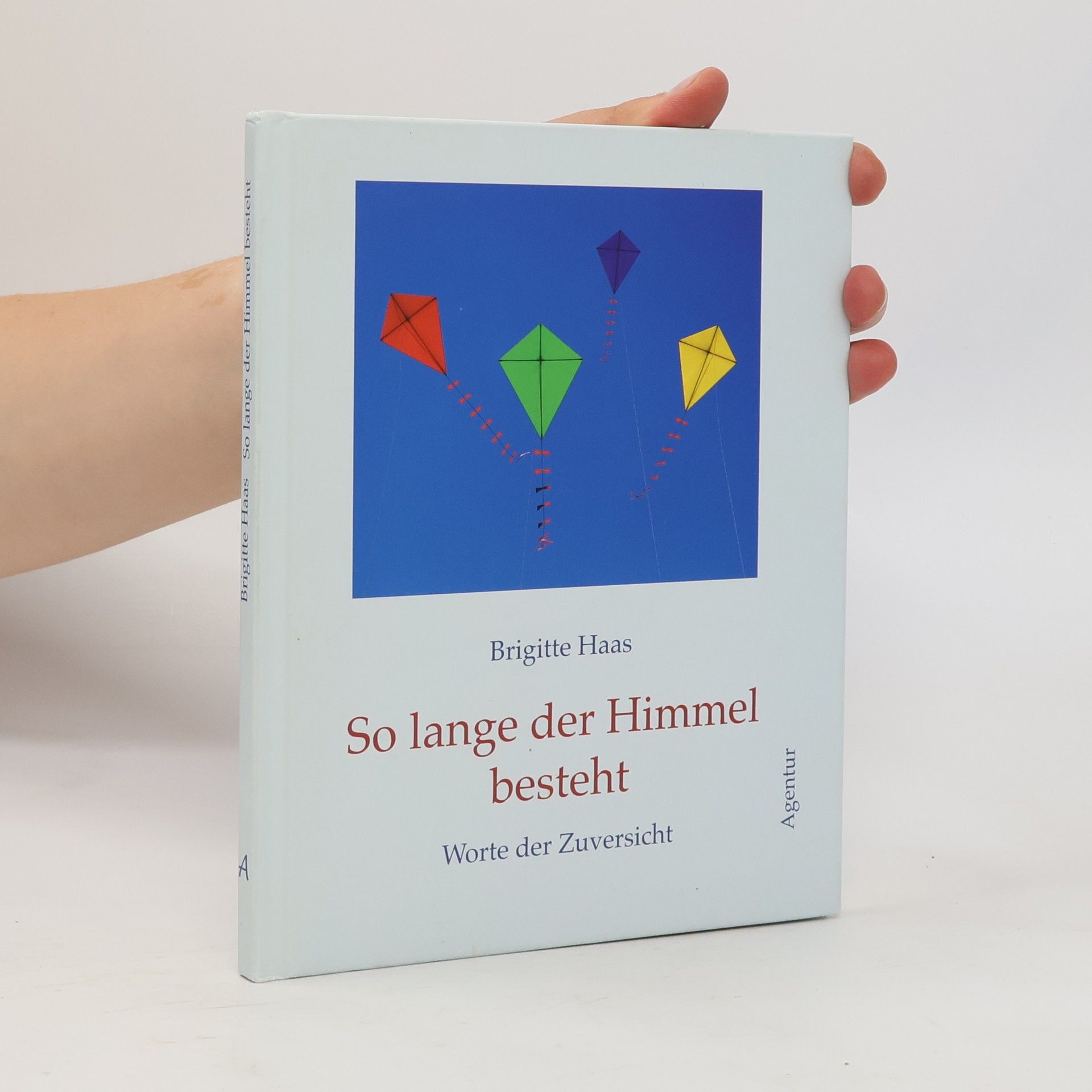 Brigitte Haas So lange der Himmel besteht