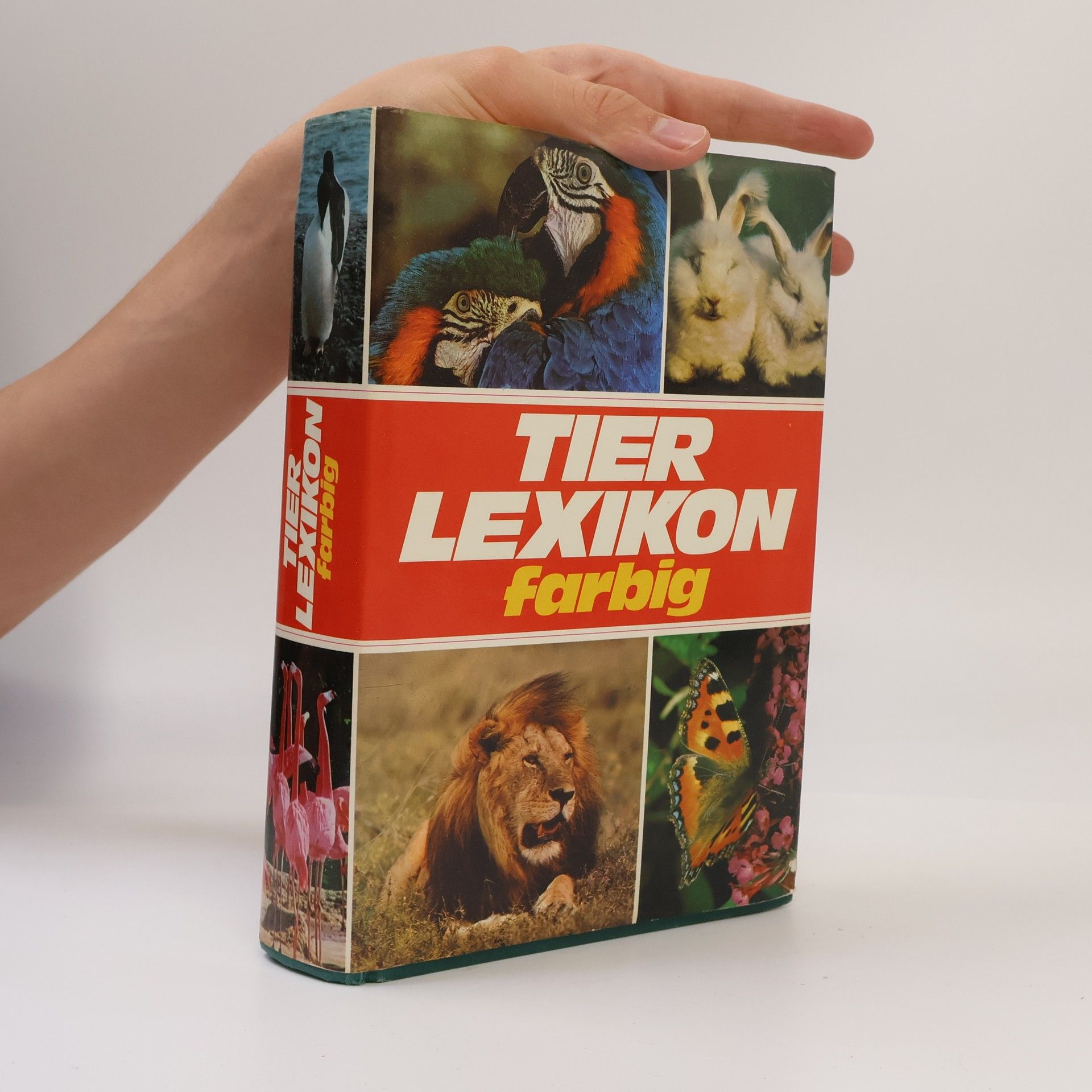 Autorenkollektiv Tier Lexikon Farbig