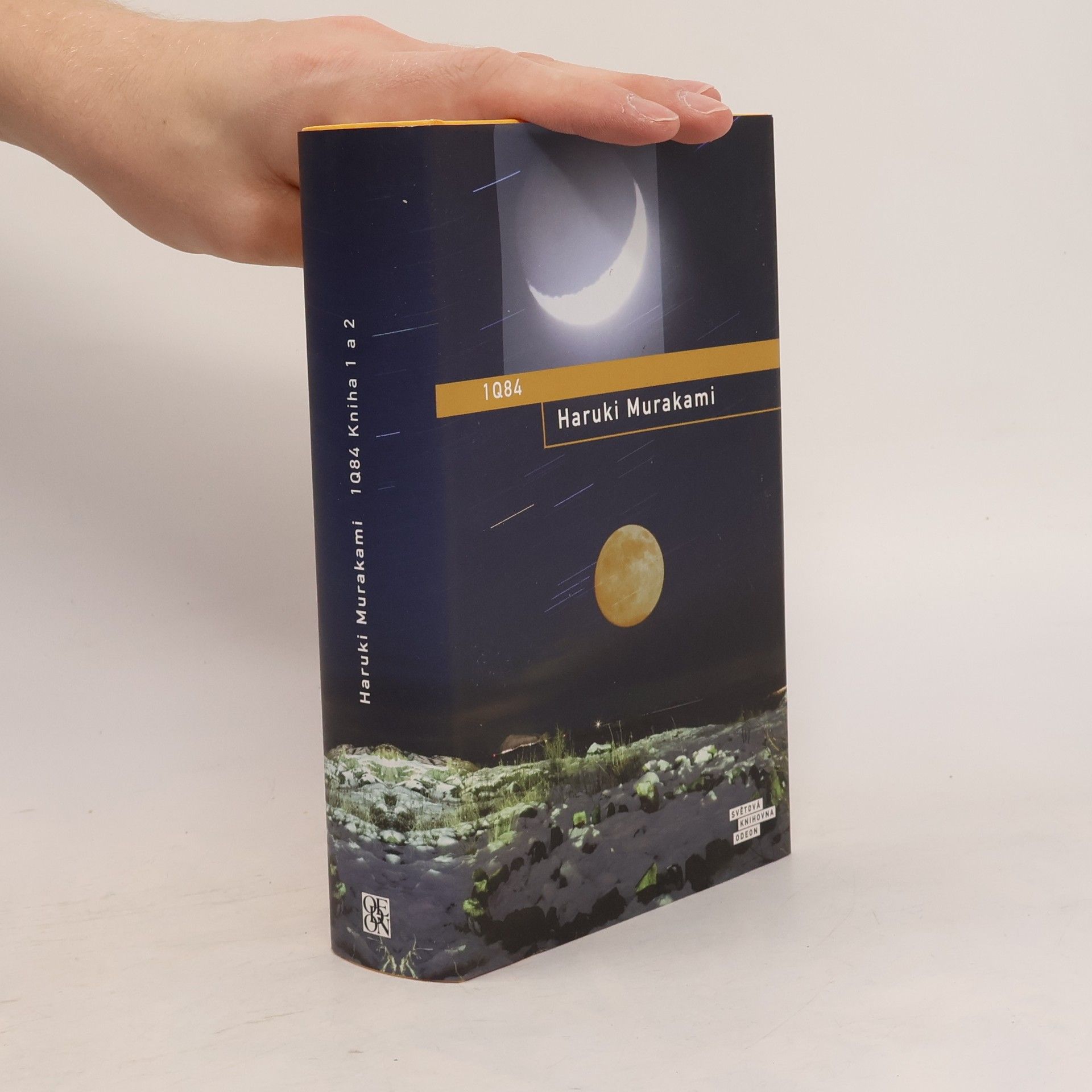 Haruki Murakami 1Q84. Kniha 1 a 2