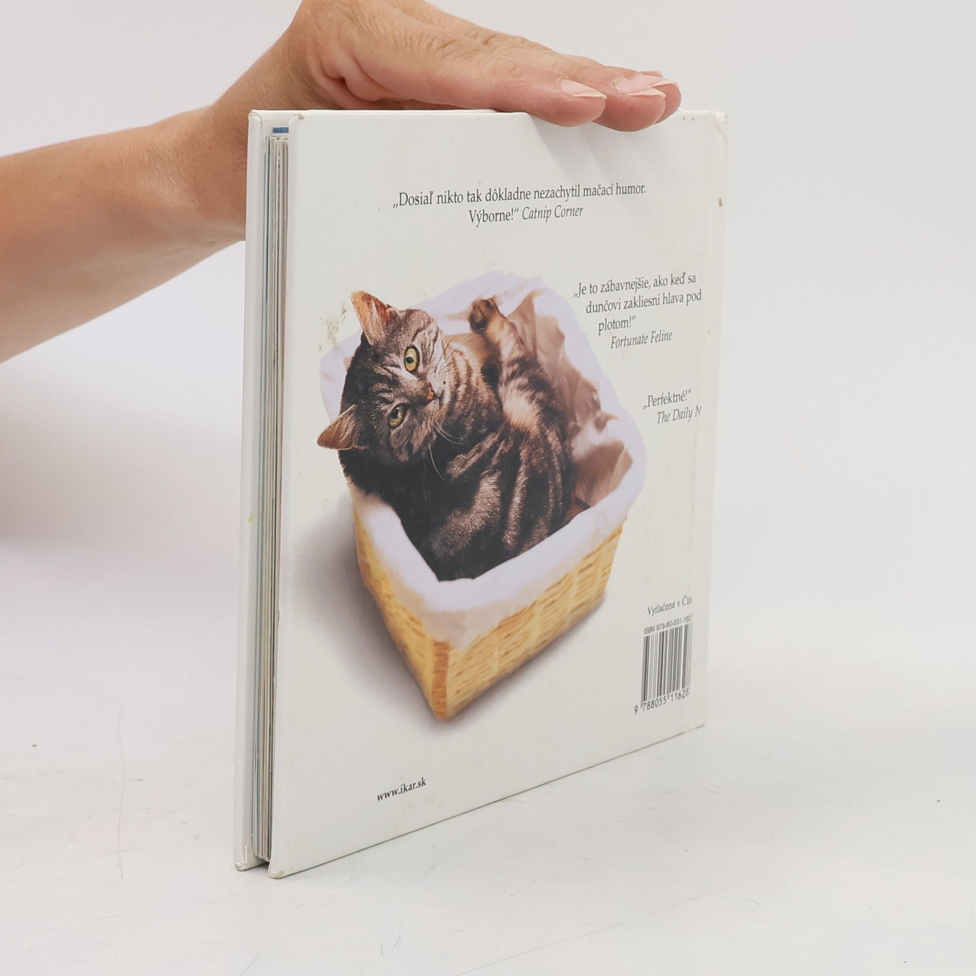 Autorenkollektiv Keby mačky rozprávali