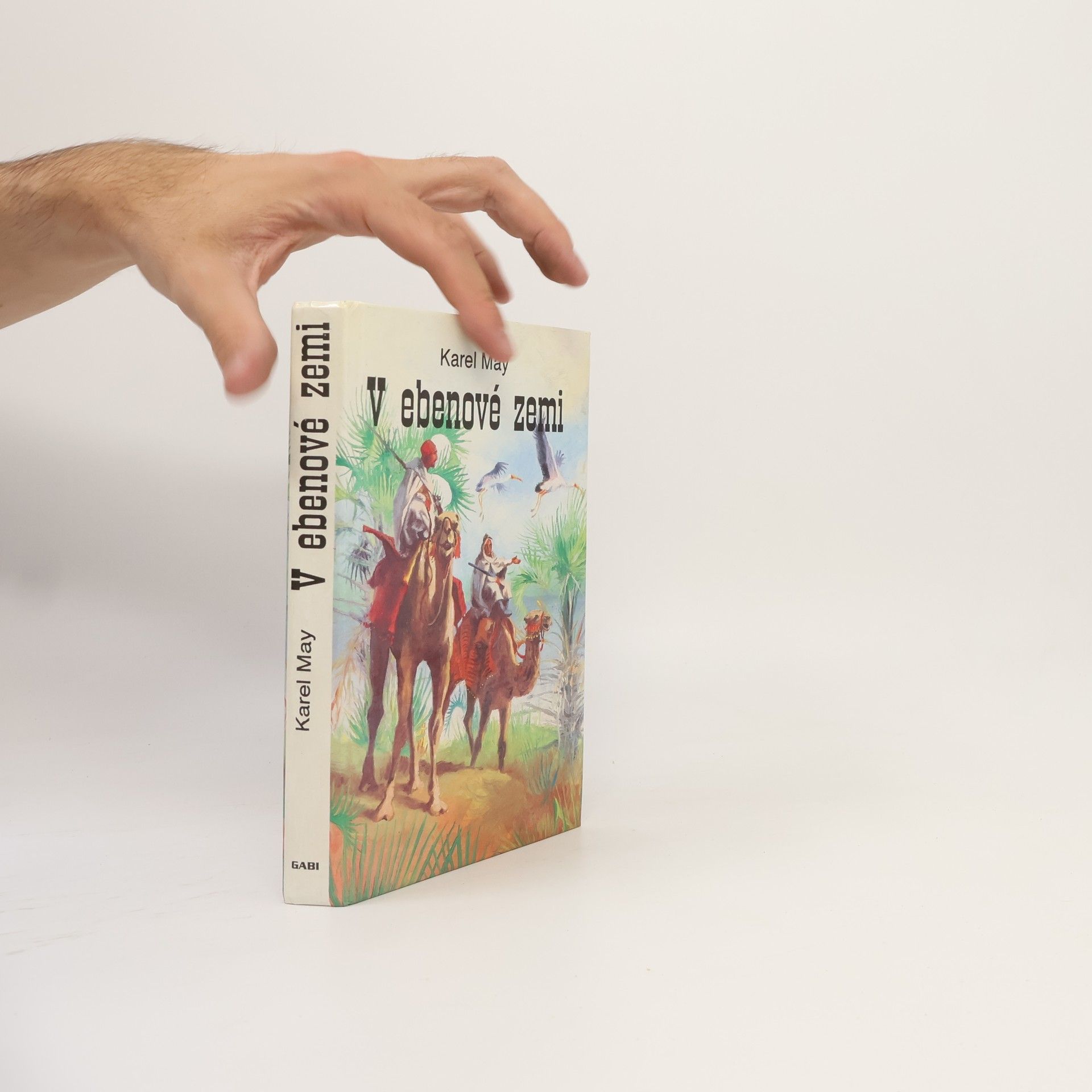 V ebenové zemi