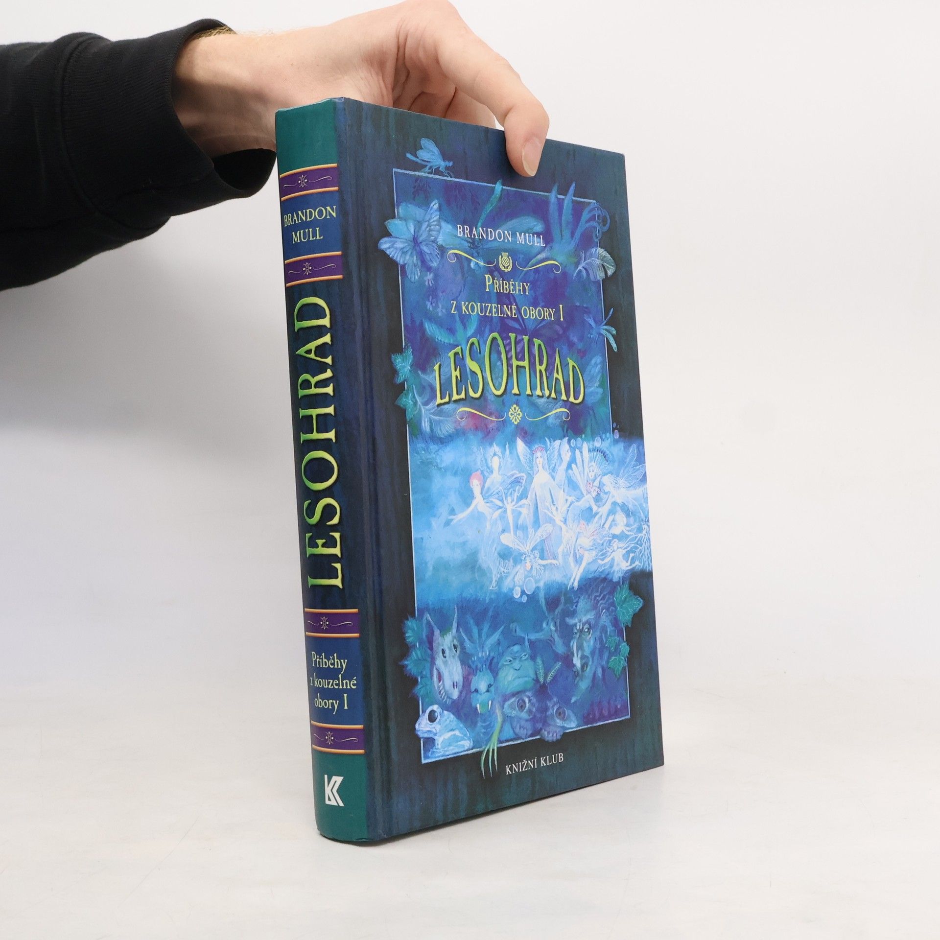 Brandon Mull Příběhy z kouzelné obory 1. Lesohrad