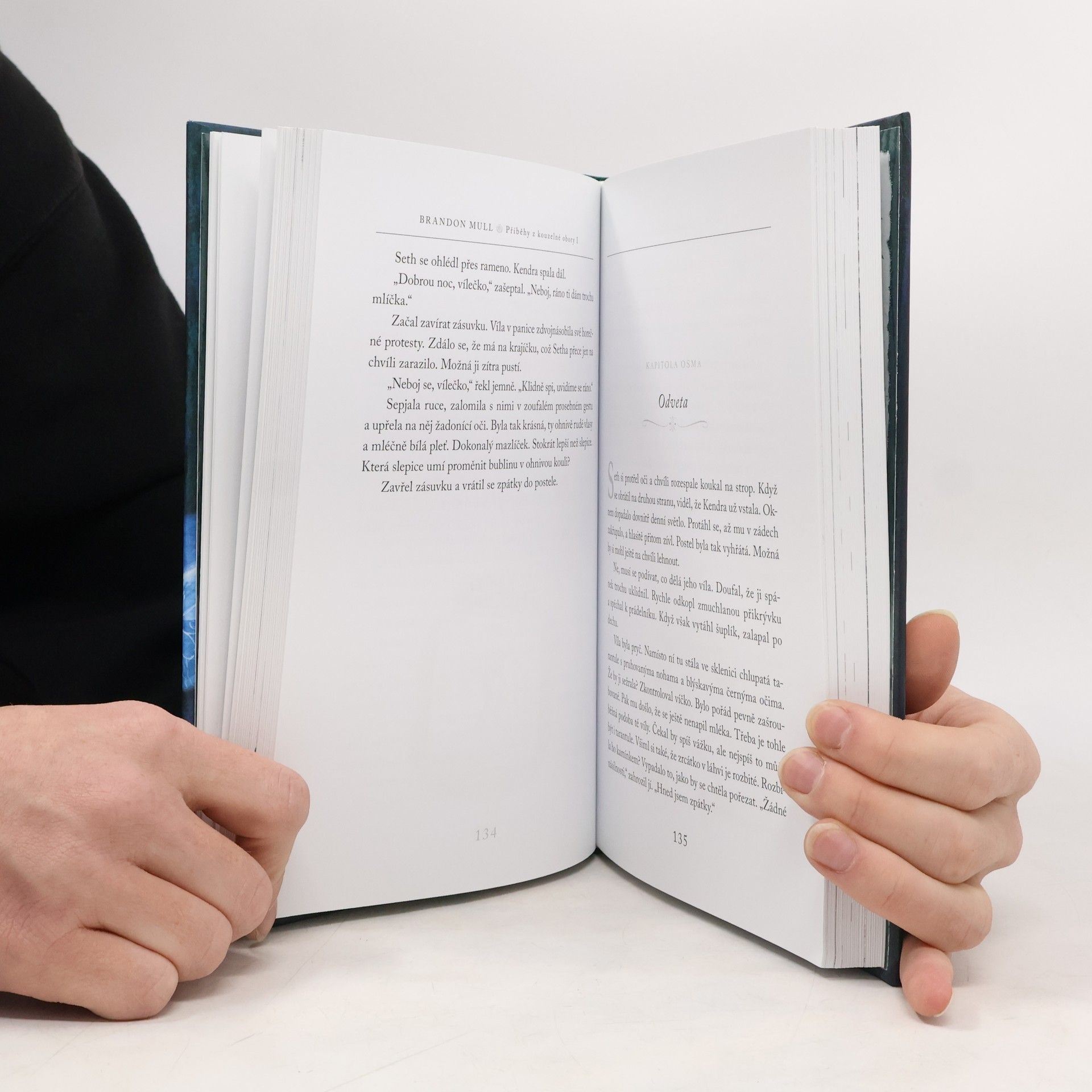 Brandon Mull Příběhy z kouzelné obory 1. Lesohrad