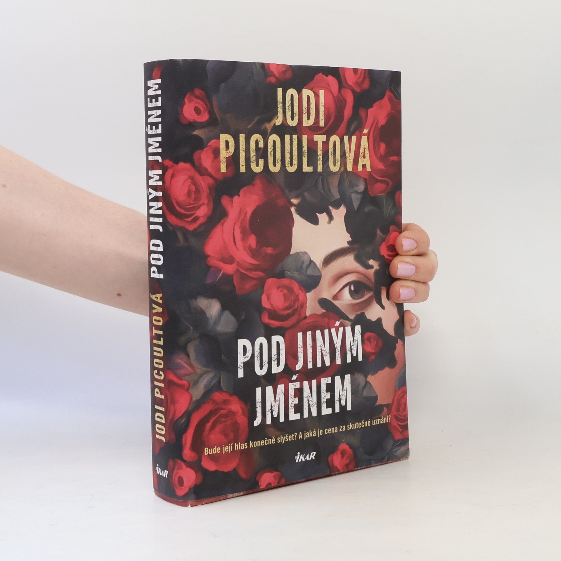 Jodi Picoult Pod jiným jménem