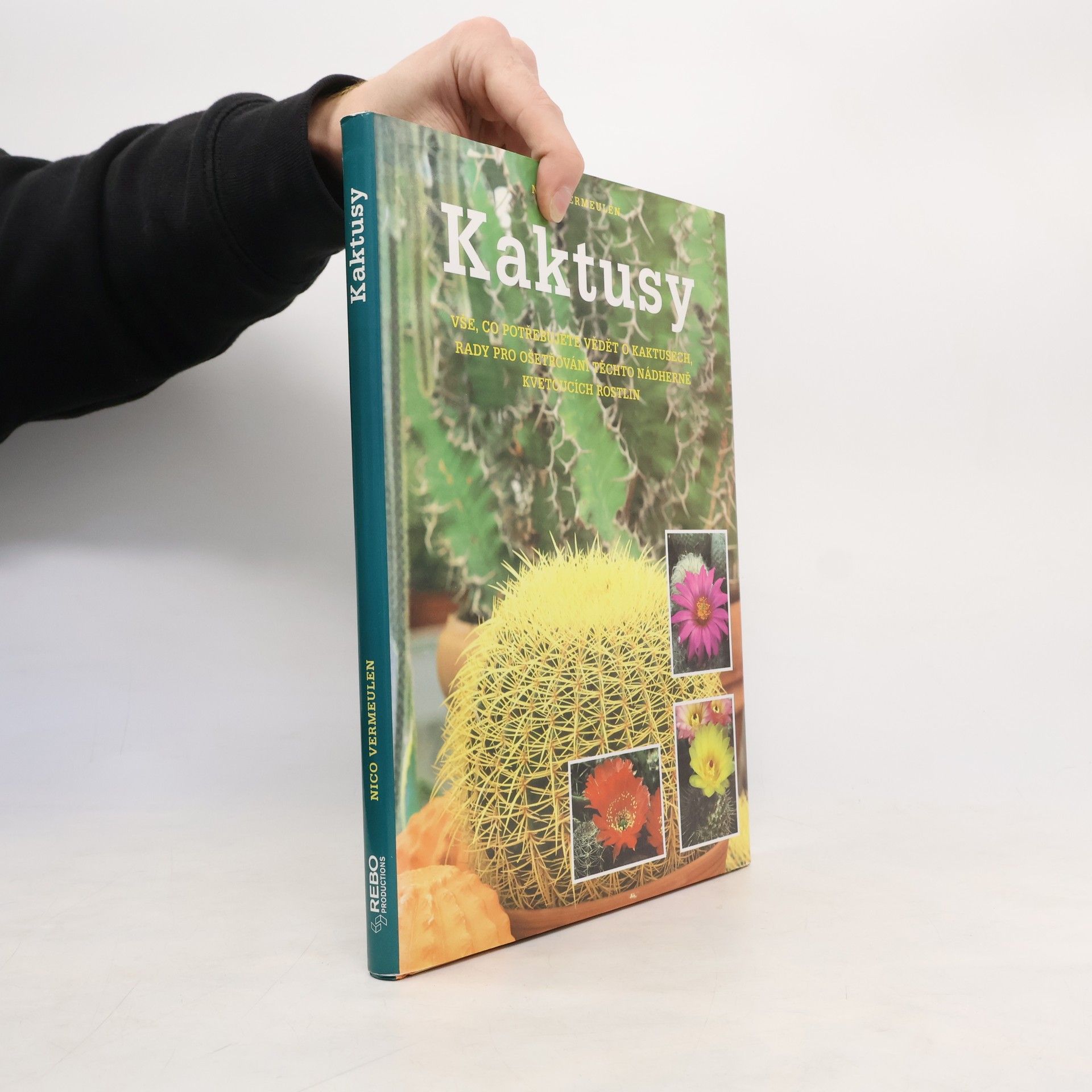 Kaktusy