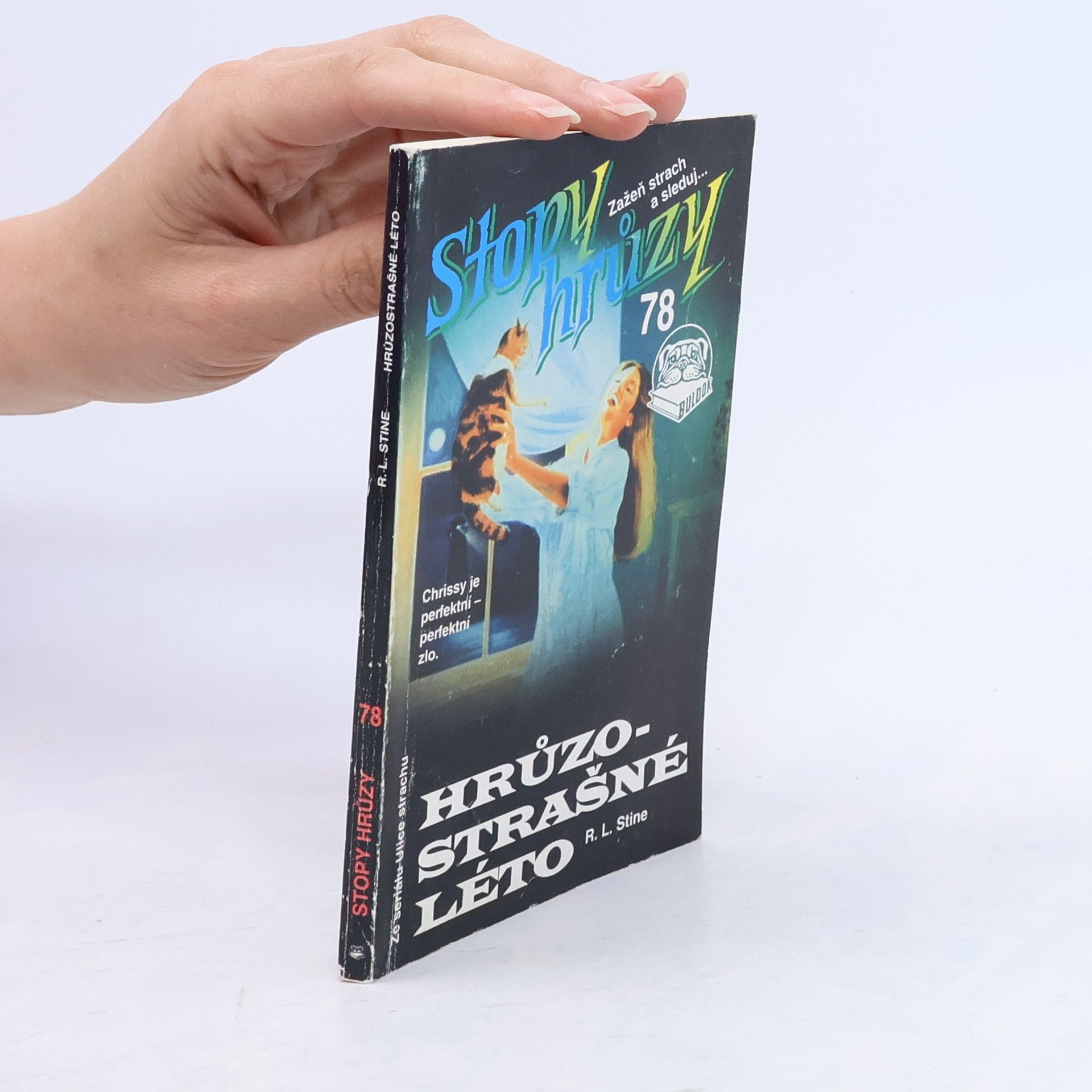 R. L. Stine Hrůzostrašné léto