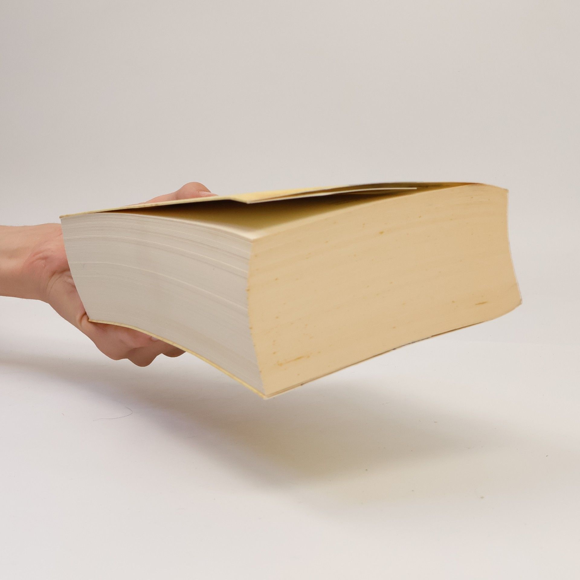 George R. R. Martin Der Sohn des Greifen