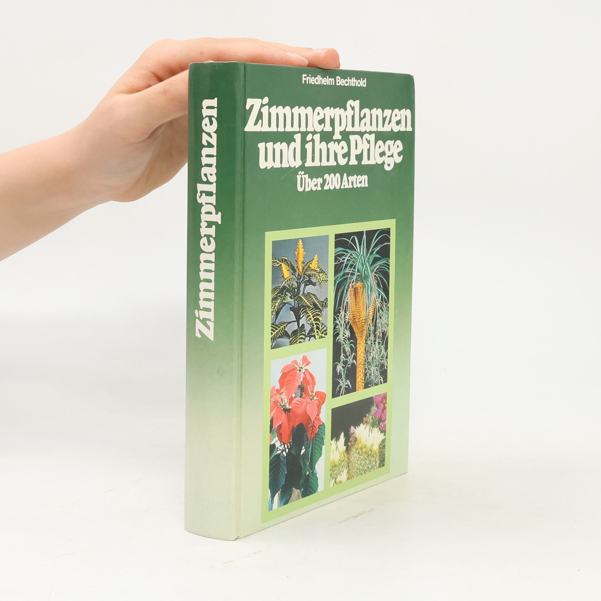 Friedhelm Bechthold Zimmerpflanzen und ihre Pflege