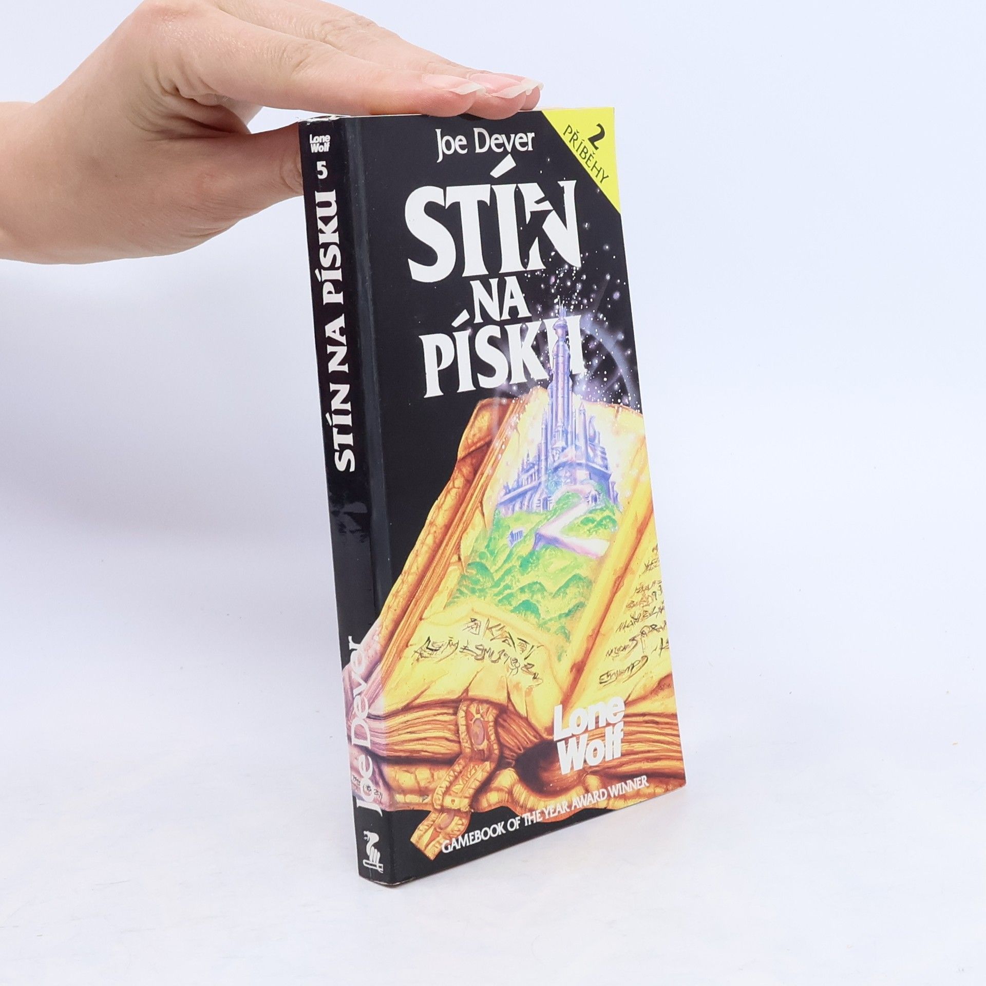 Joe Dever Stín na písku