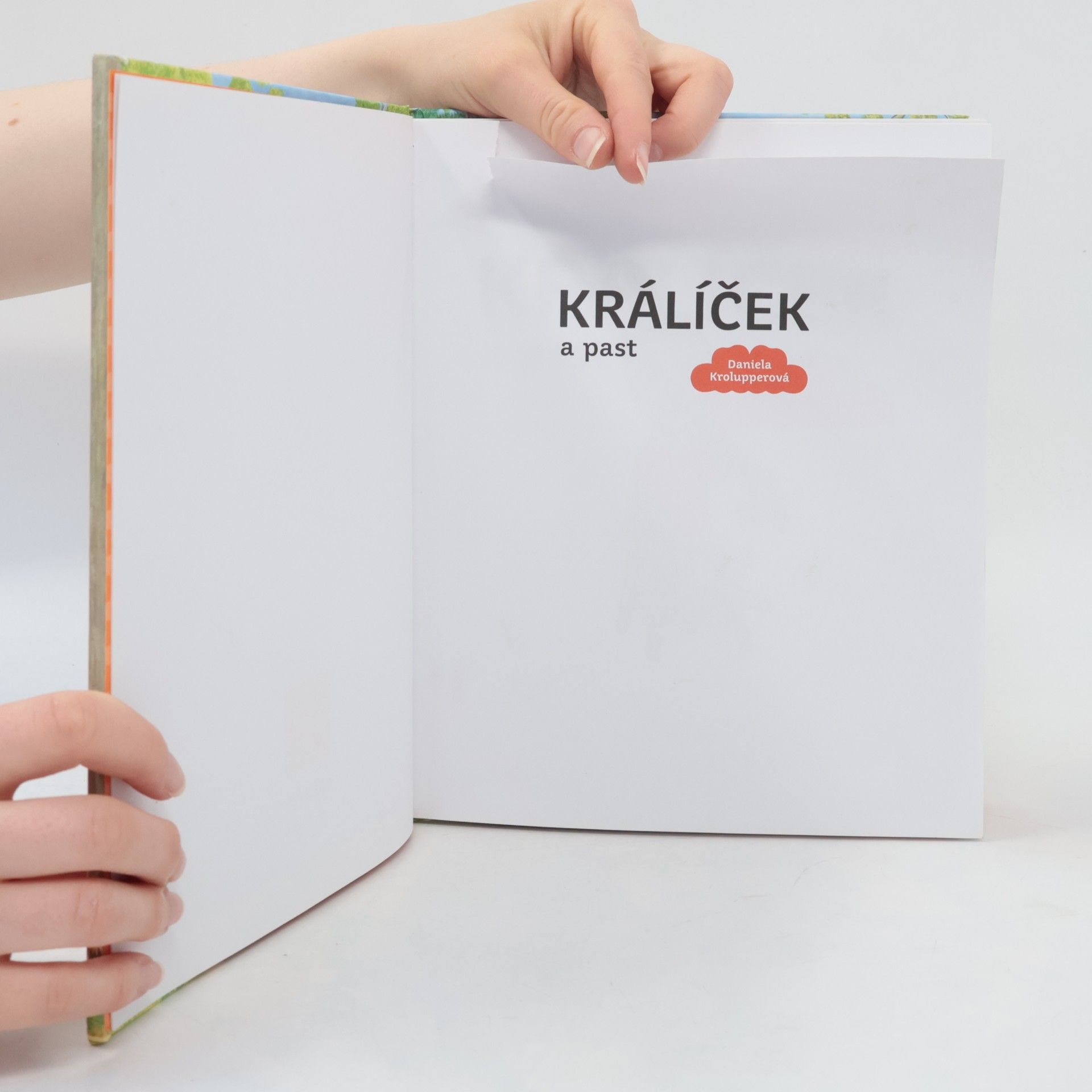 Daniela Krolupperová Králíček a past
