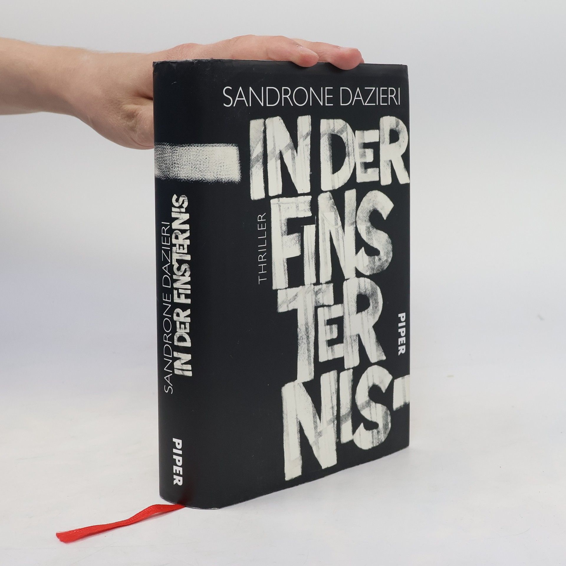 Sandrone Dazieri In der Finsternis