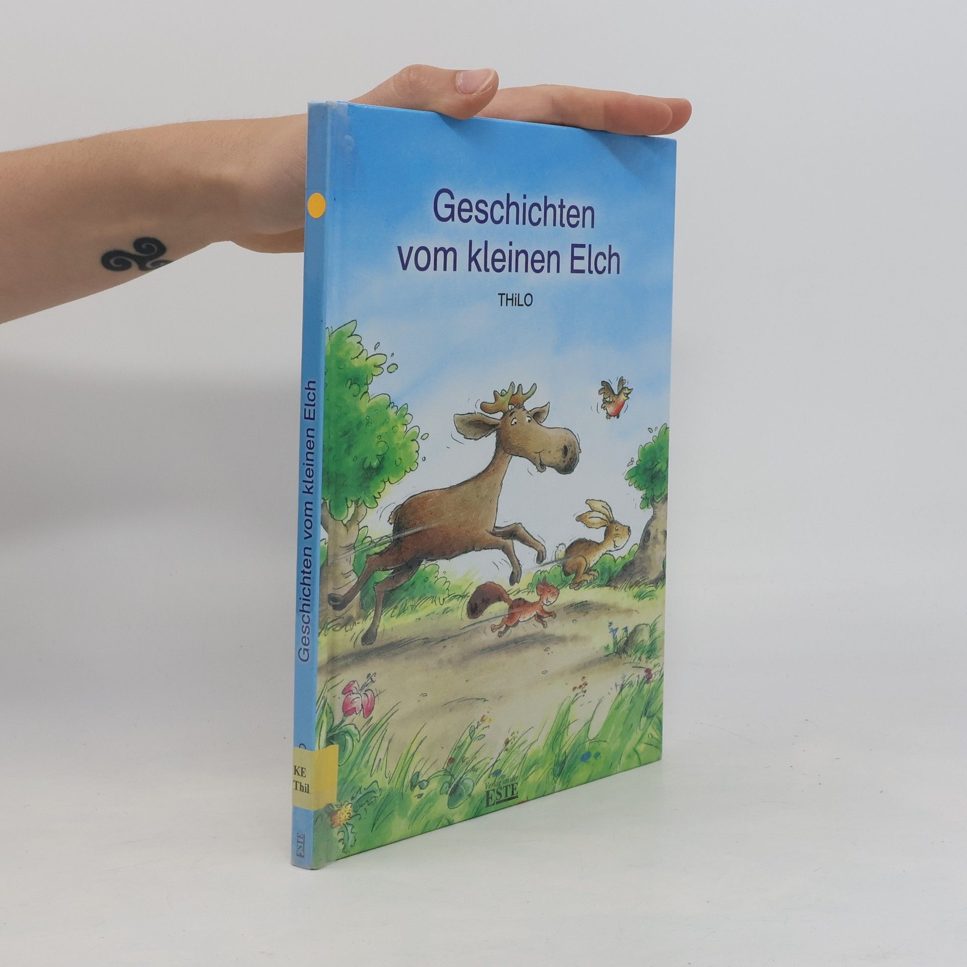 Autorenkollektiv Geschihten vom kleinen Elch