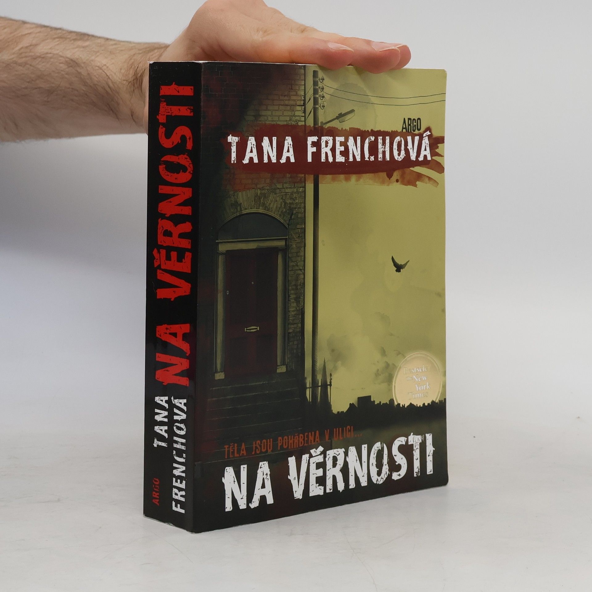 Tana French Na Věrnosti