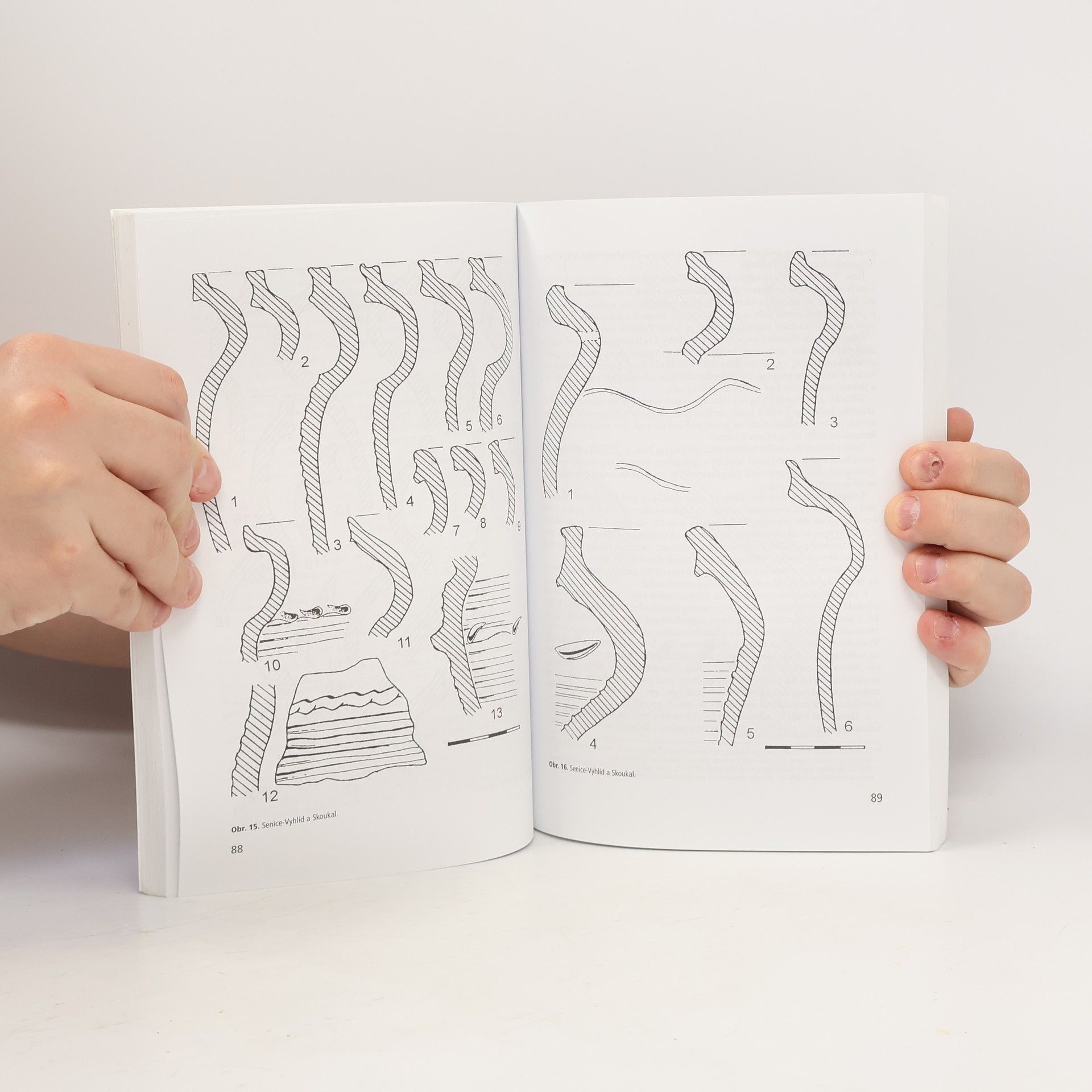 Auteurscollectief Studia mediaevalia Pragensia 5