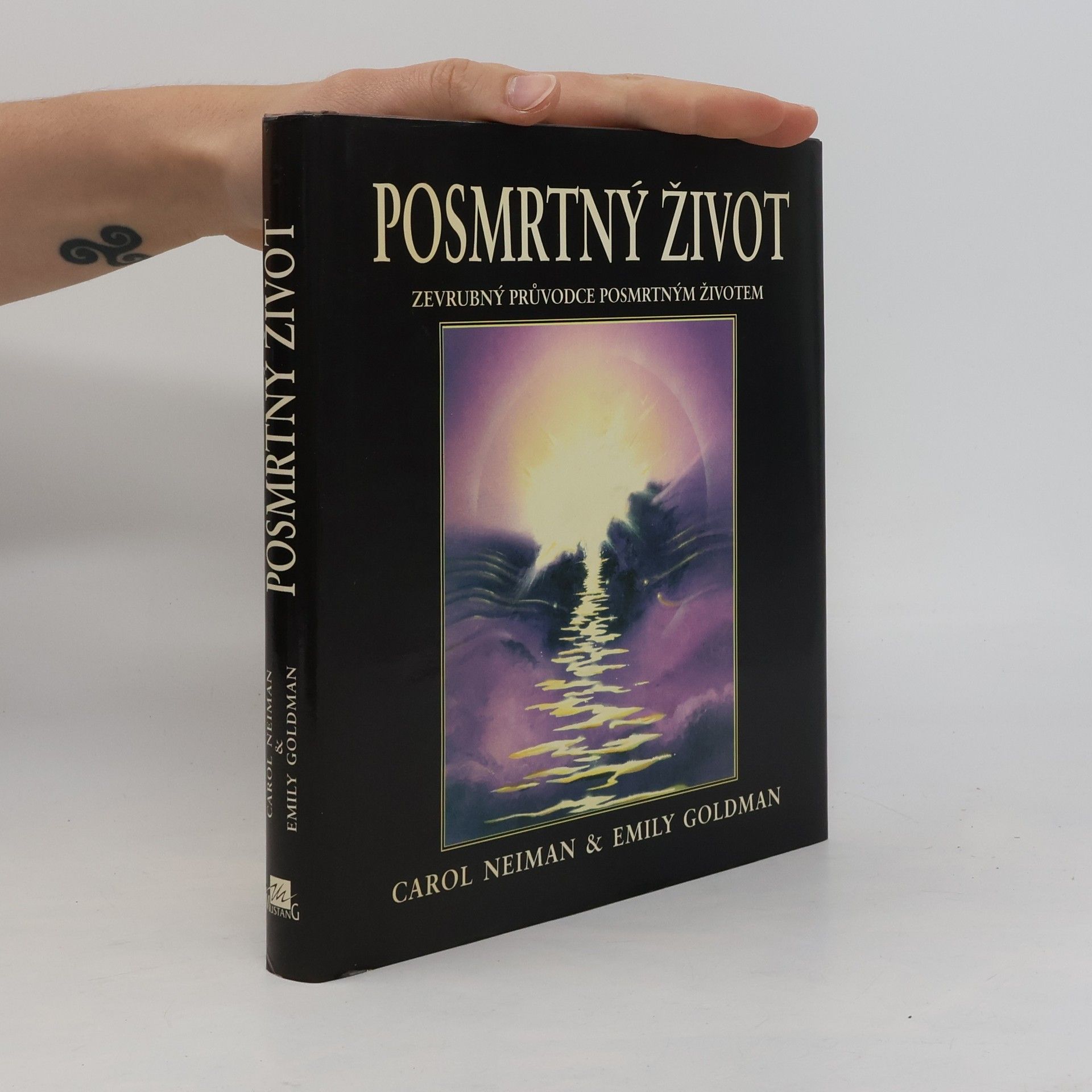 Emily Goldman Posmrtný život. Zevrubný průvodce posmrtným životem
