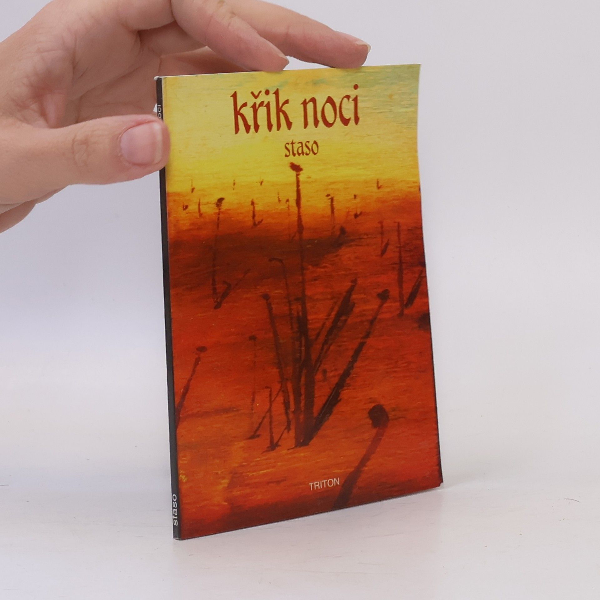 Jakub Juhaňák Křik noci