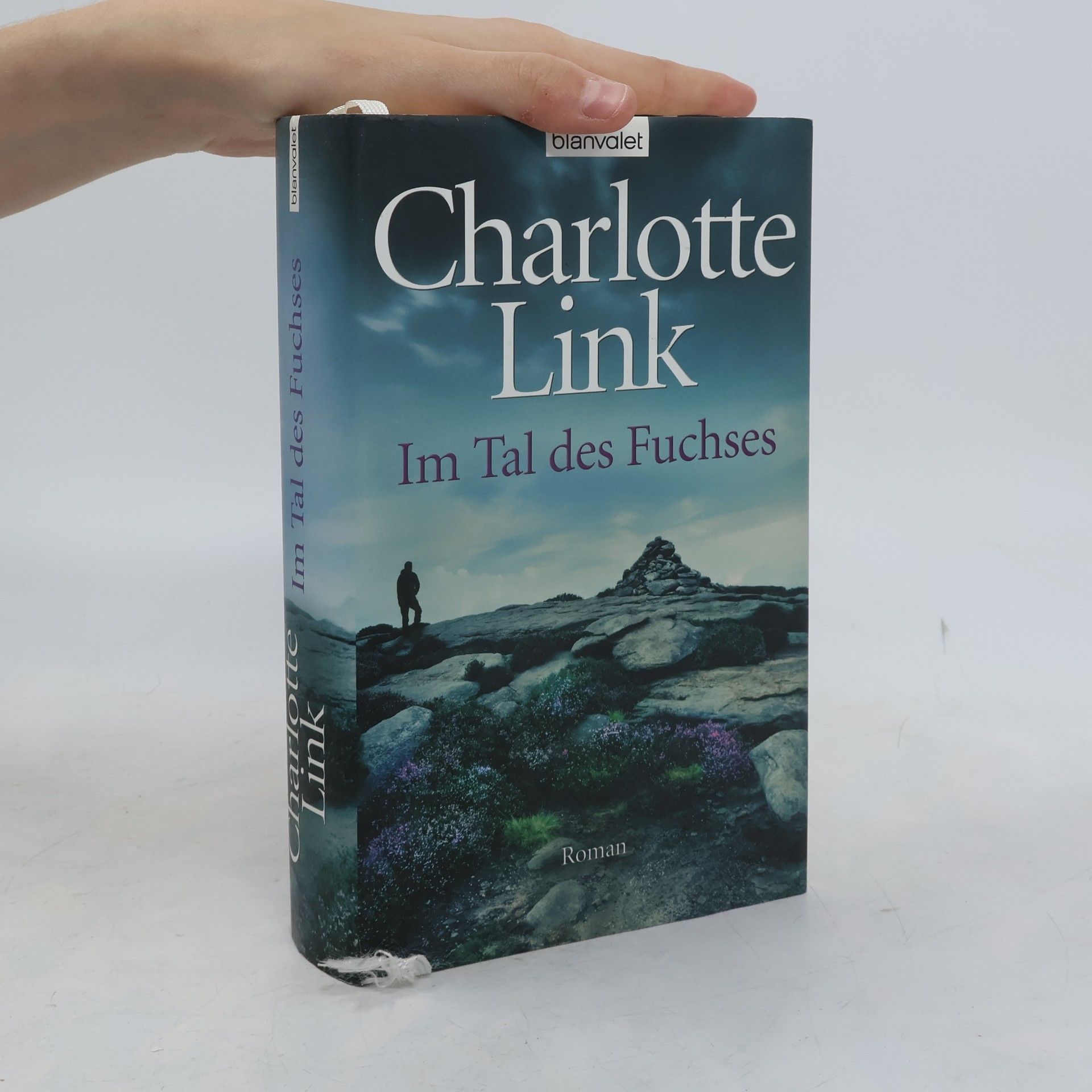 Charlotte Link Im Tal des Fuchses
