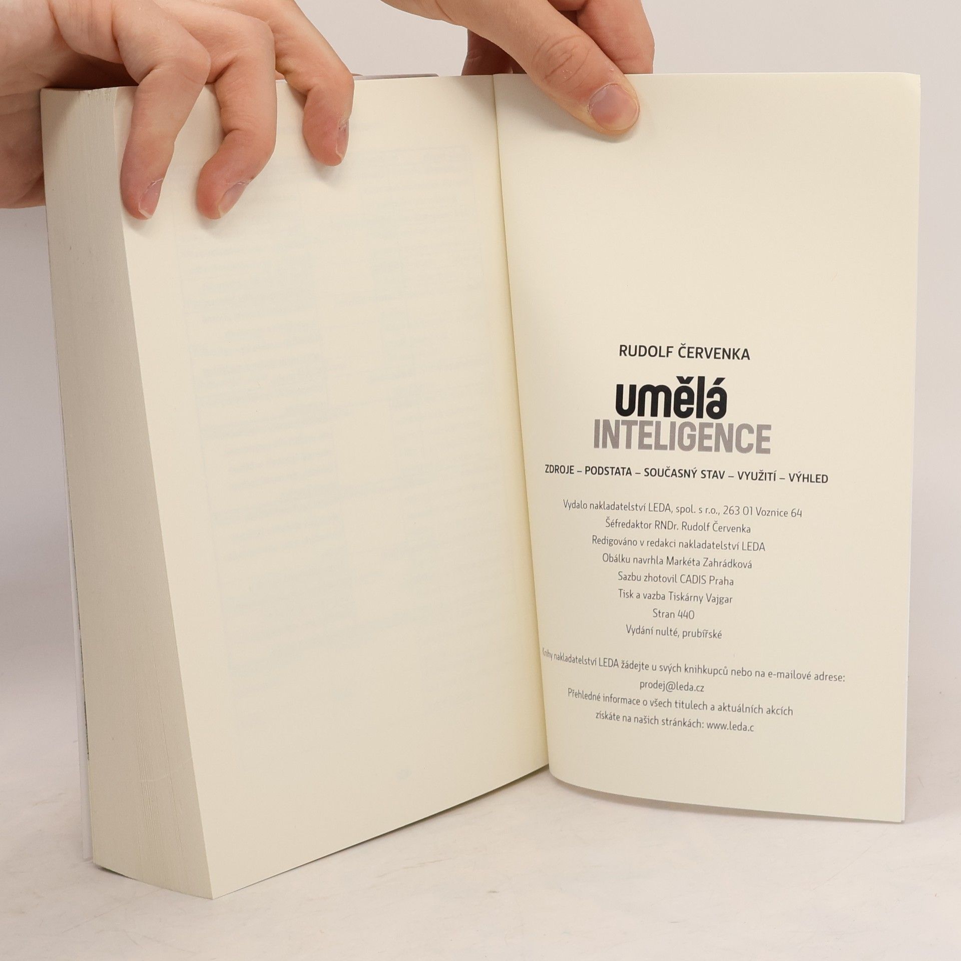 Rudolf Červenka Umělá inteligence