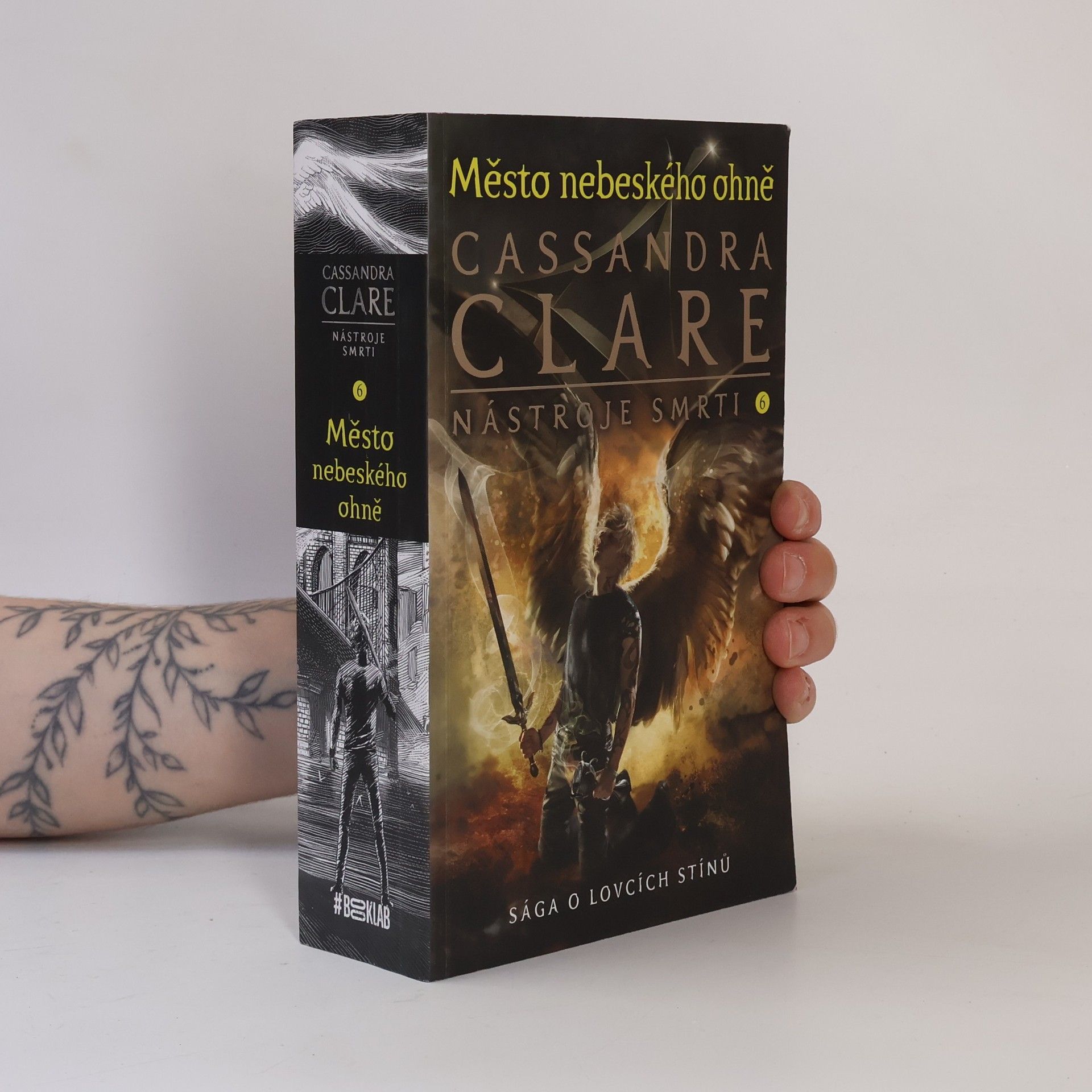Cassandra Clare Nástroje smrti 6: Město nebeského ohně