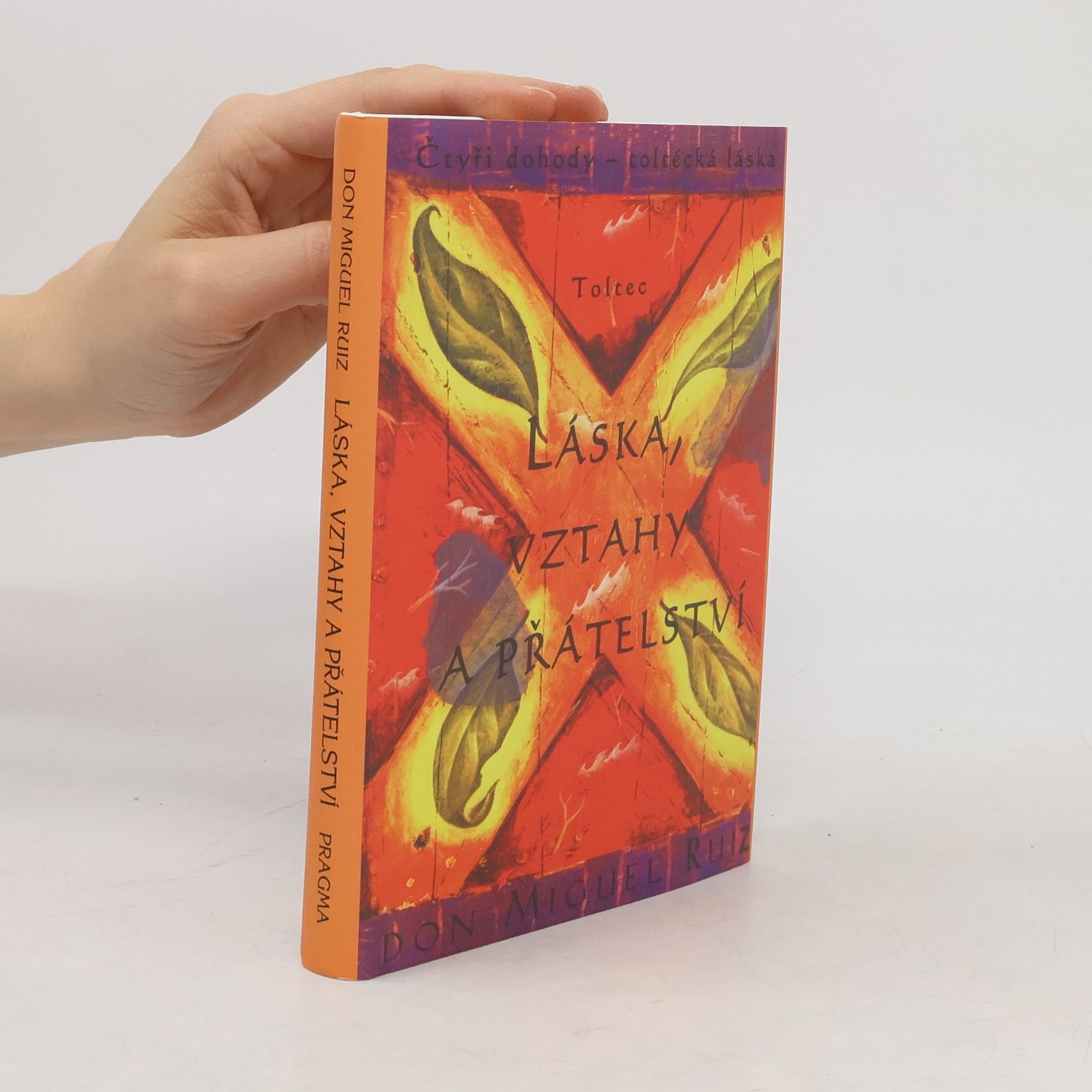 Don Miguel Ruiz Láska, vztahy a přátelství