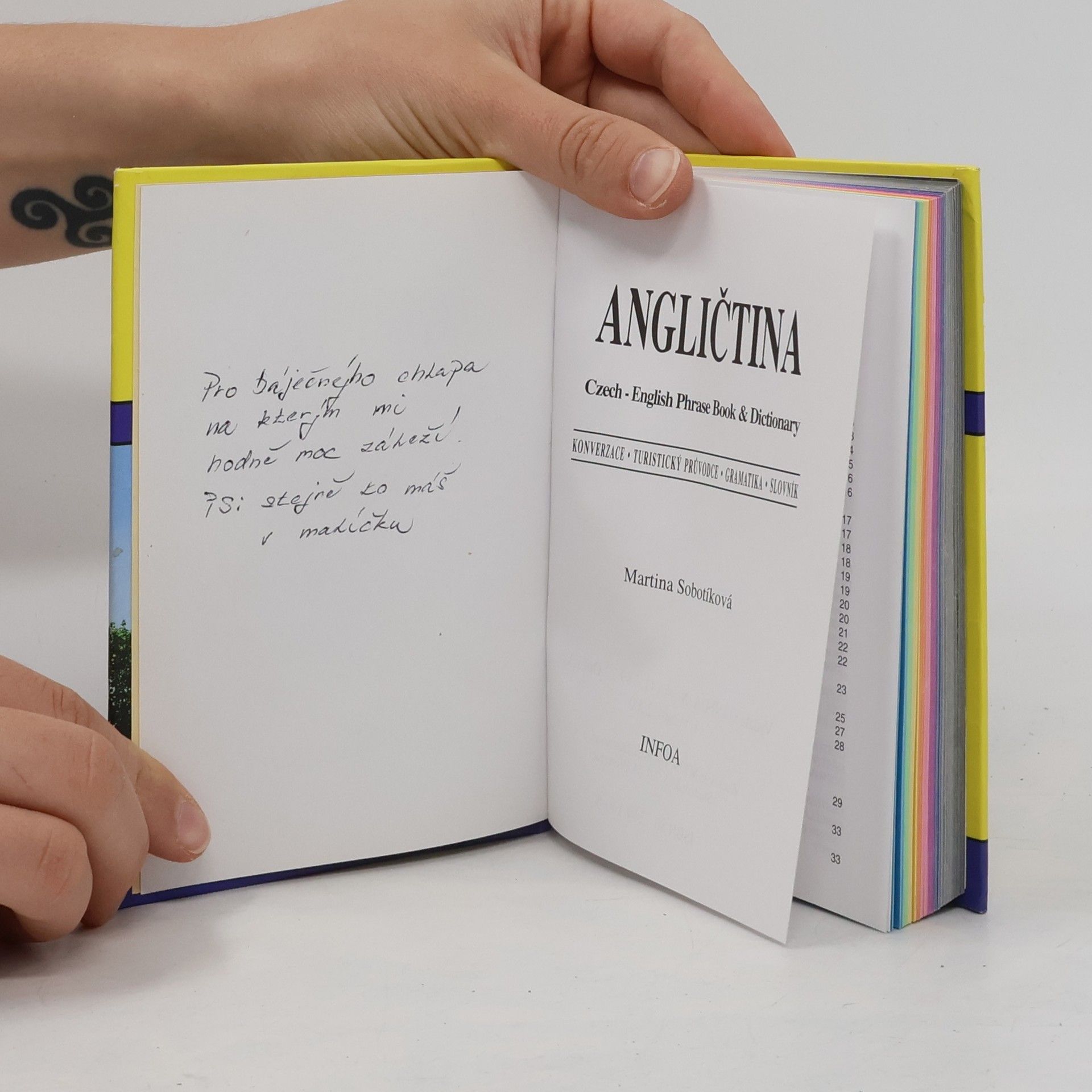 Martina Sobotíková Angličtina. Czech - English Phrase Book & Dictionary