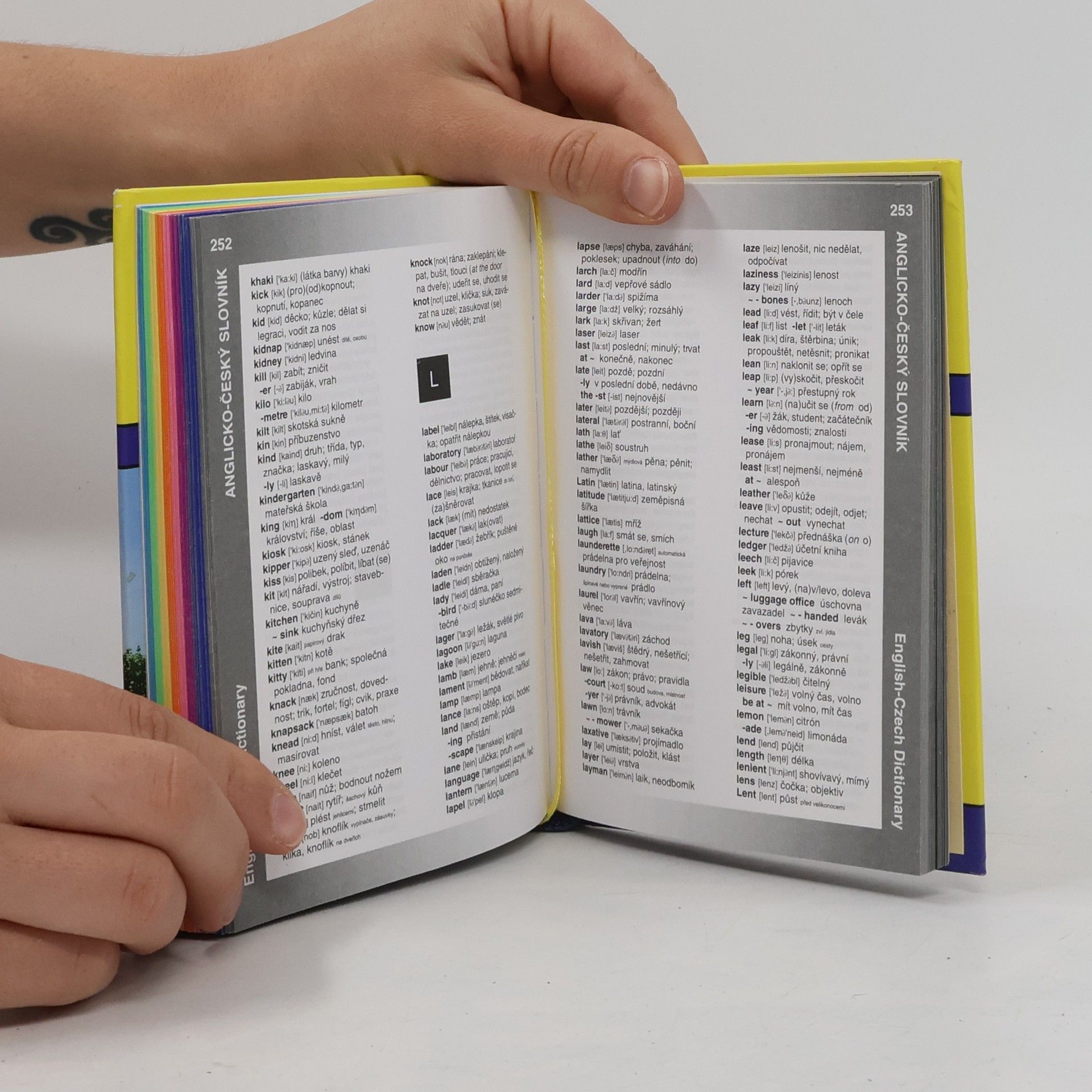 Martina Sobotíková Angličtina. Czech - English Phrase Book & Dictionary