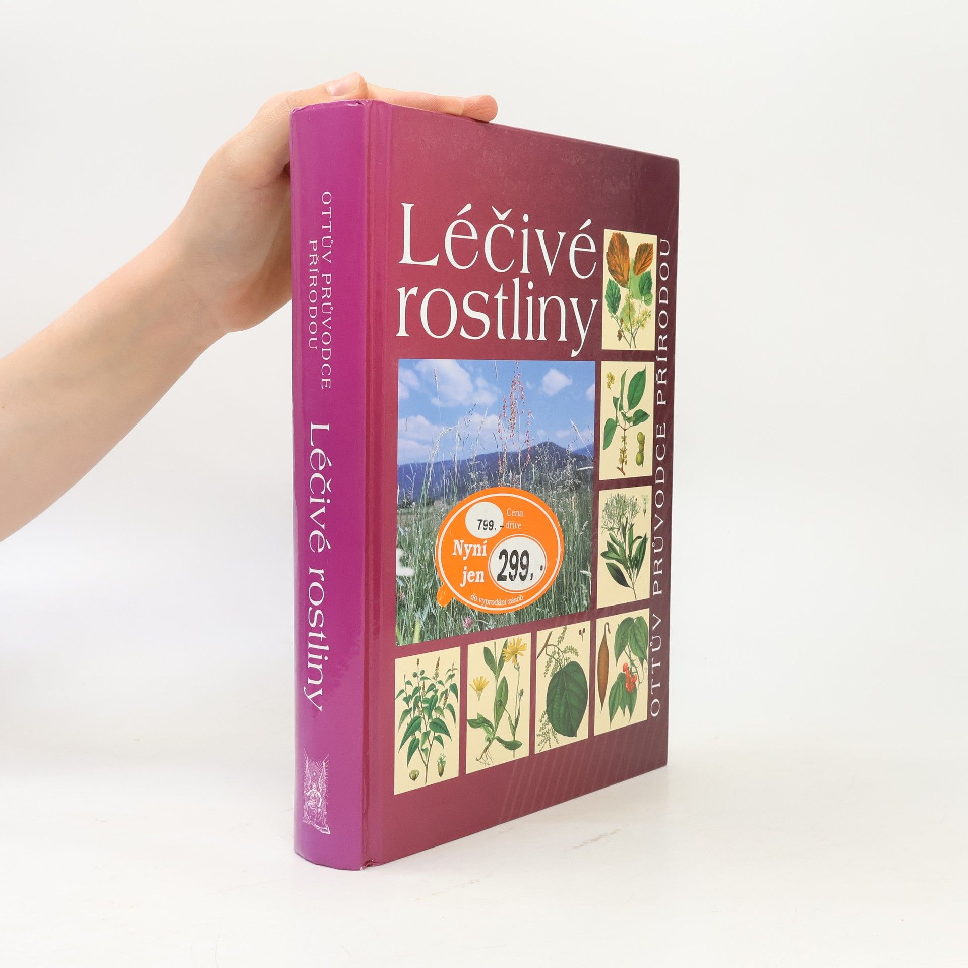 Léčivé rostliny