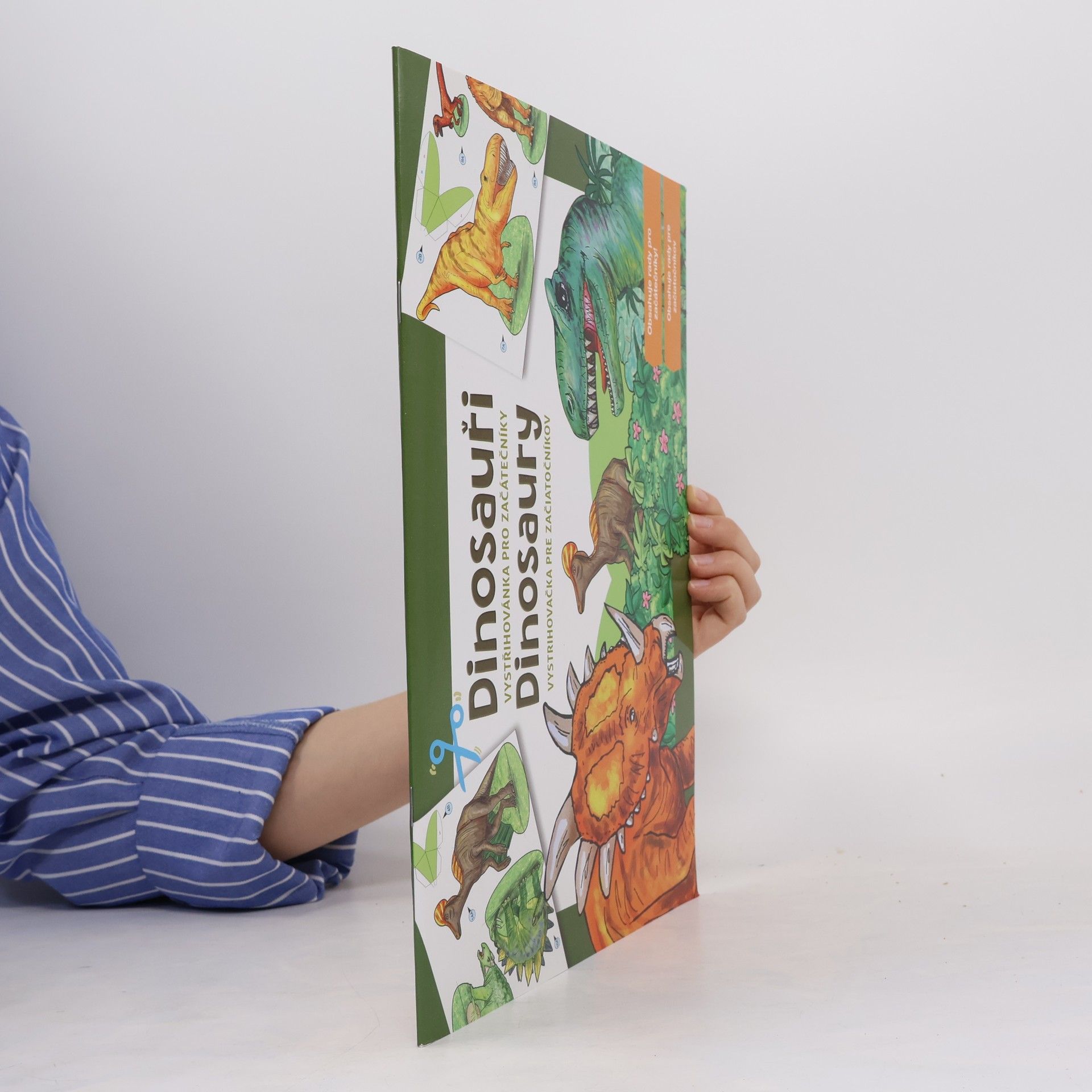 Autorenkollektiv Dinosauři. Dinosaury
