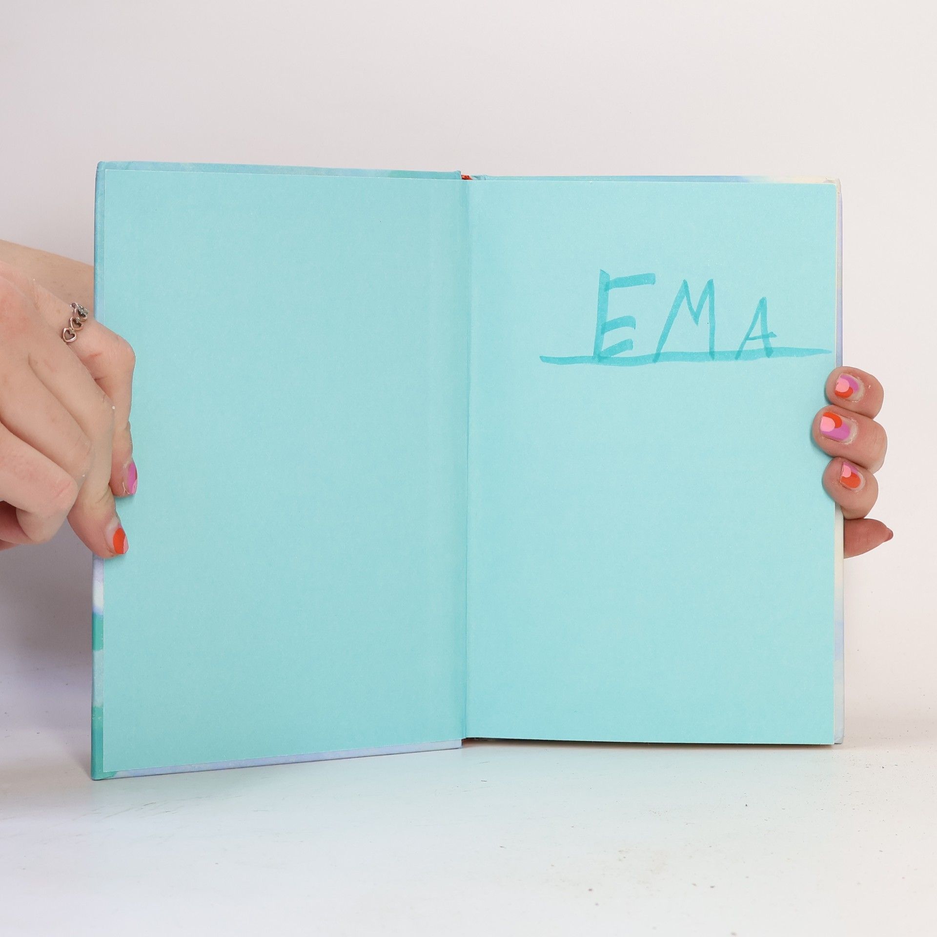 Amelia Cobb Ema a její kouzelná zoo. Popletený tučňák