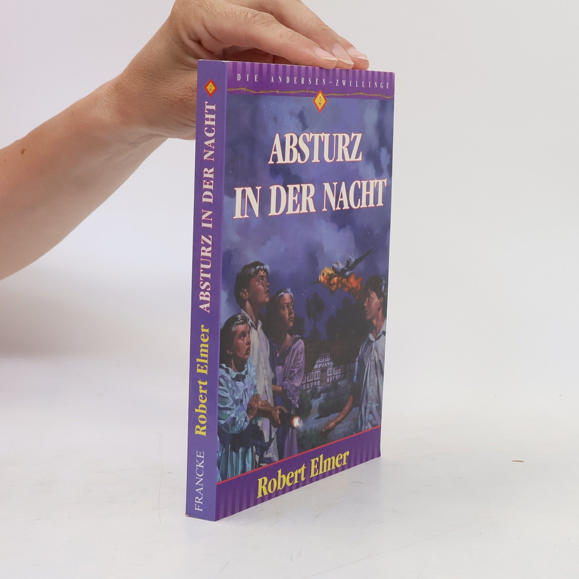 Robert Elmer Absturz in der Nacht
