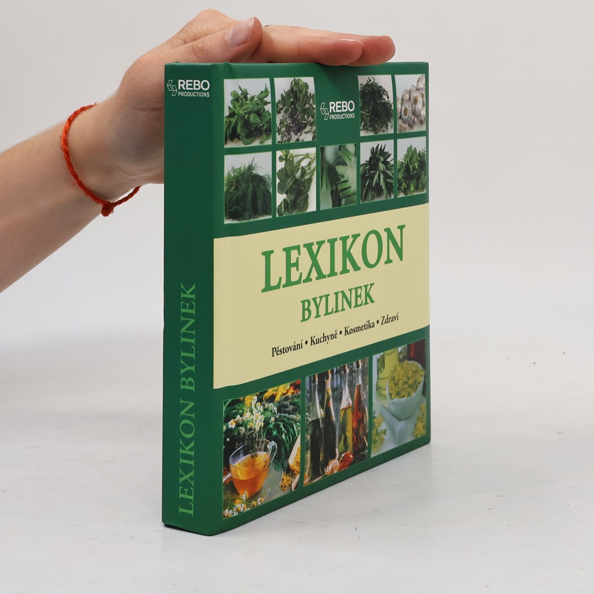 Andrea Rausch Lexikon bylinek
