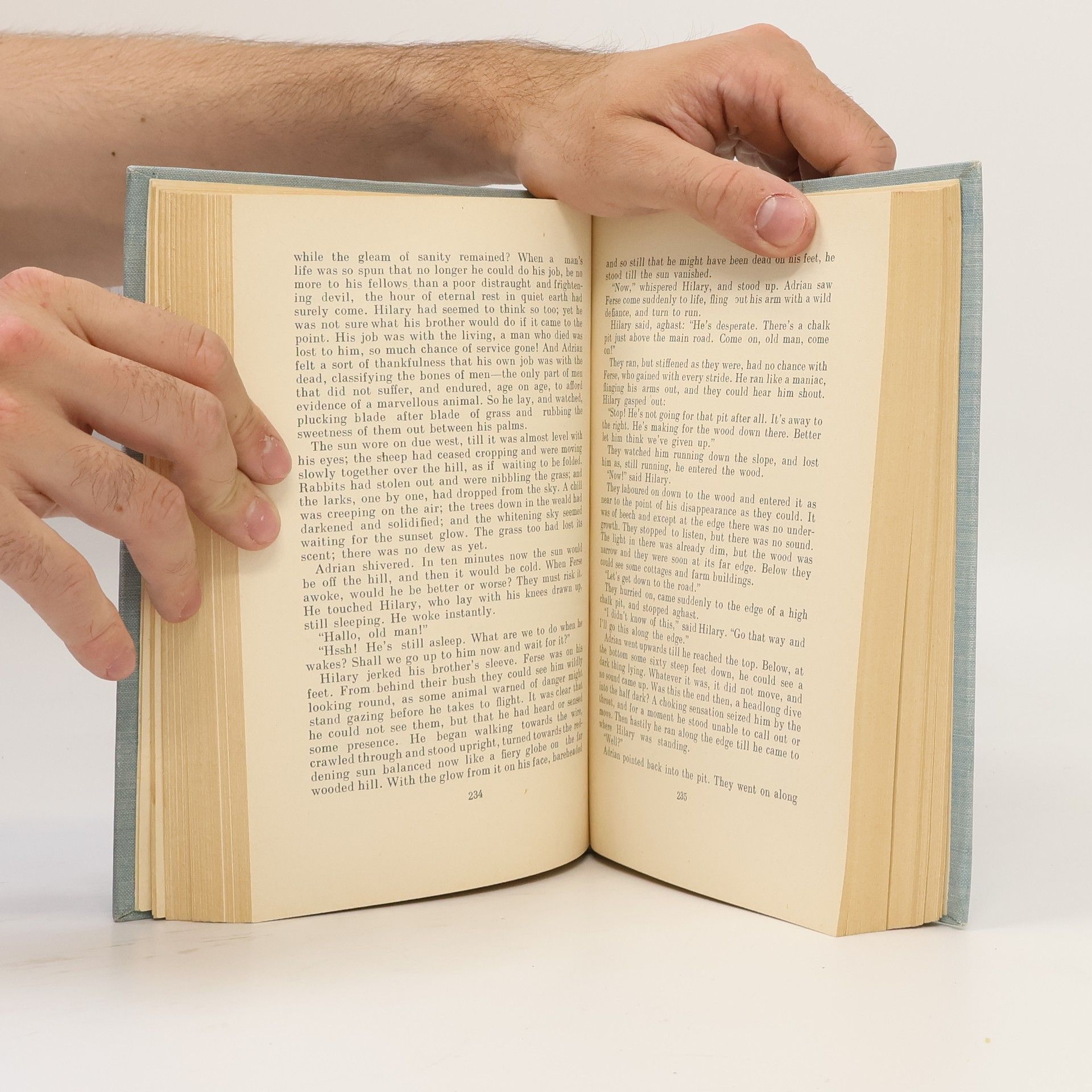 John Galsworthy End of the Chapter