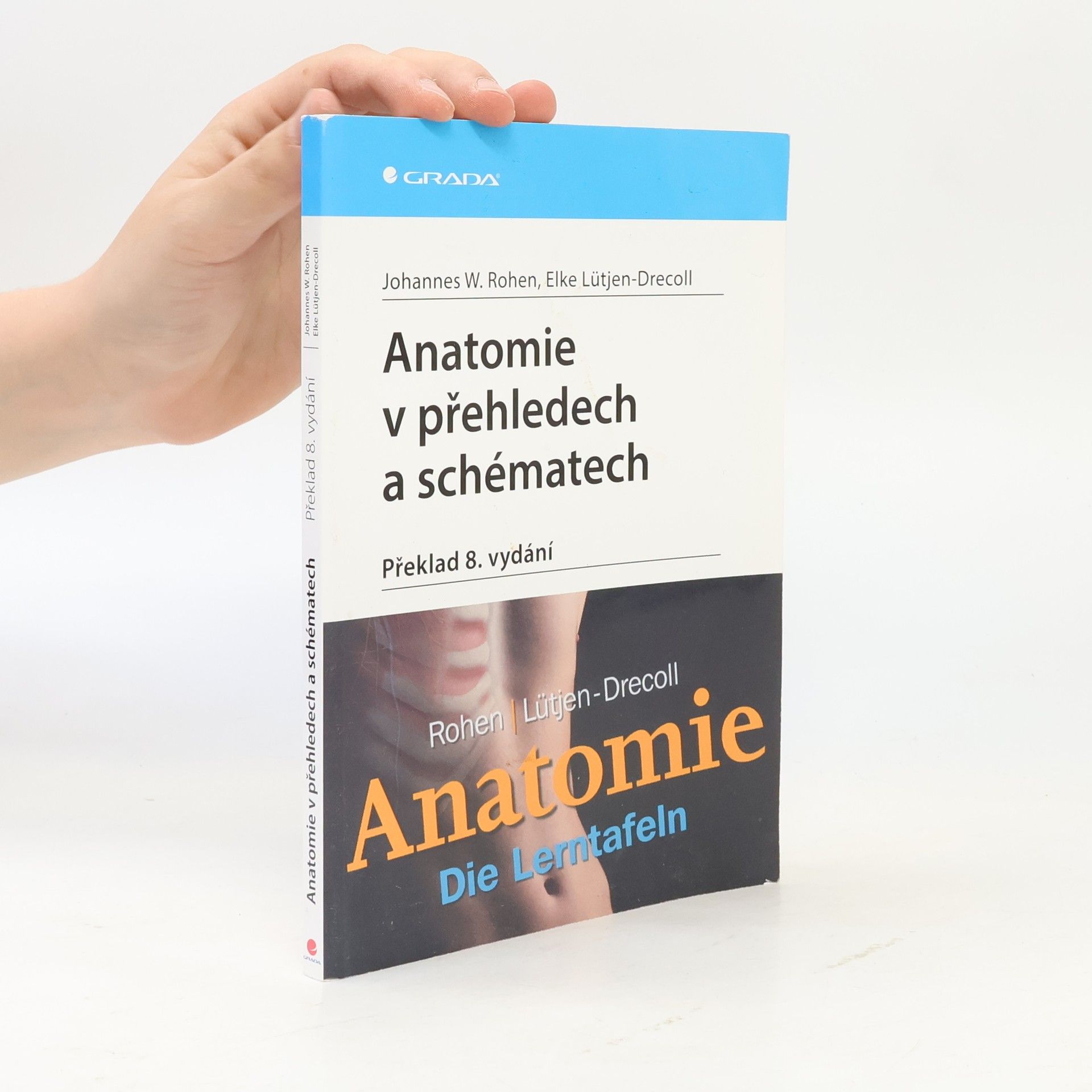 Elke Lütjen-Drecoll Anatomie v přehledech a schématech