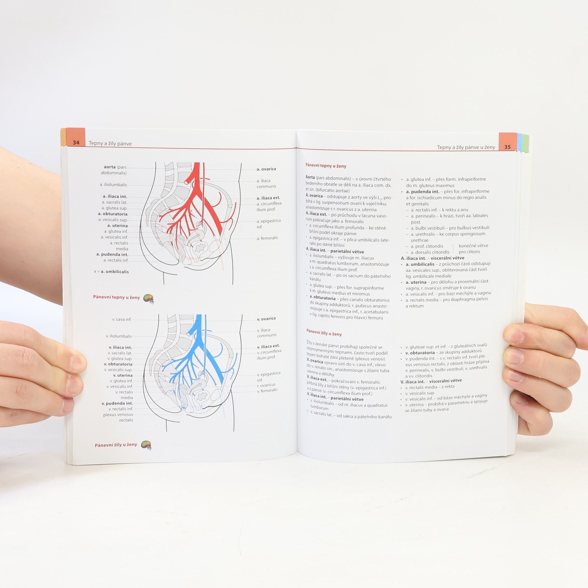 Ondřej Naňka Anatomie v přehledech a schématech