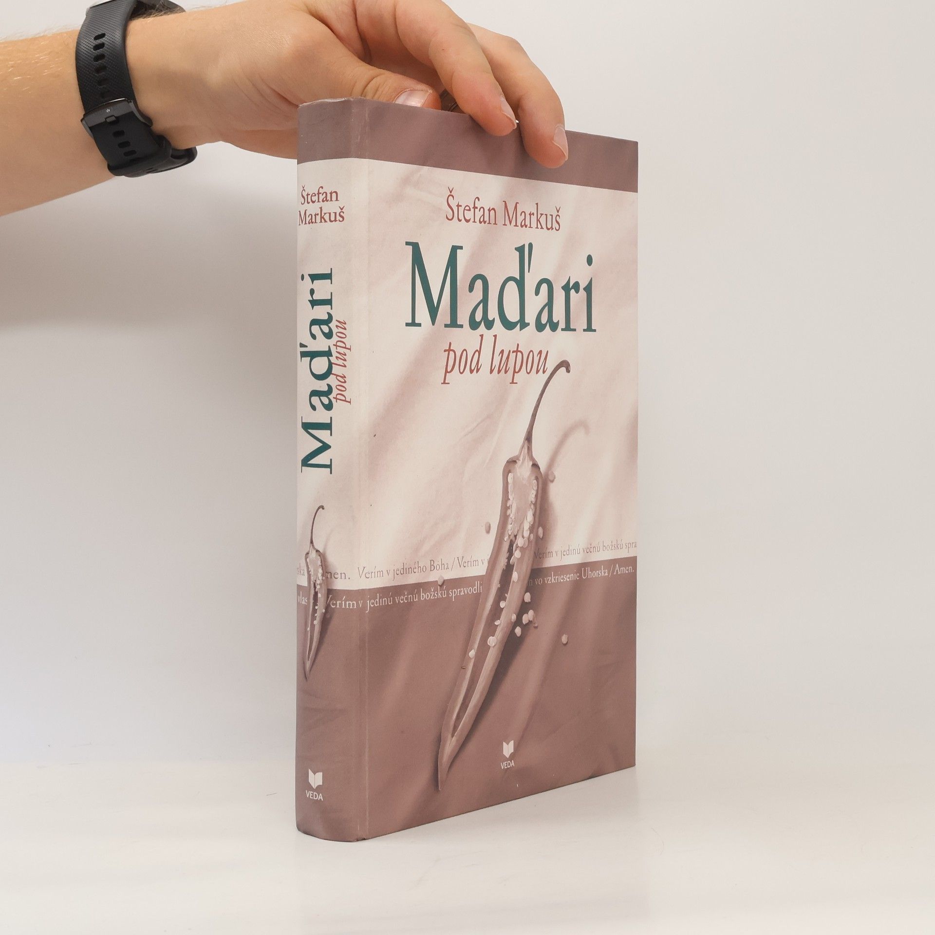 Štefan Markuš Maďari pod lupou