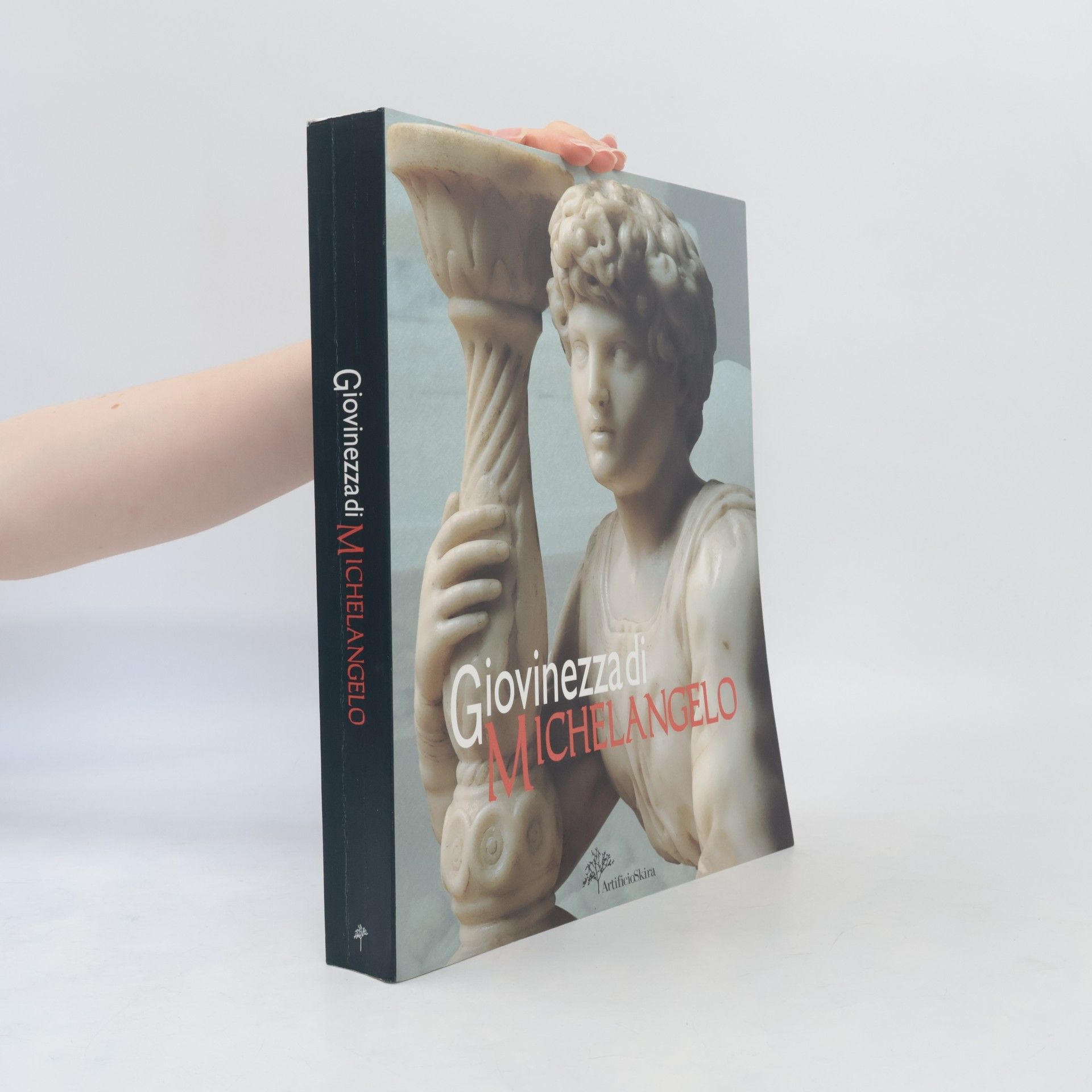 Michelangelo Buonarroti Giovinezza di Michelangelo