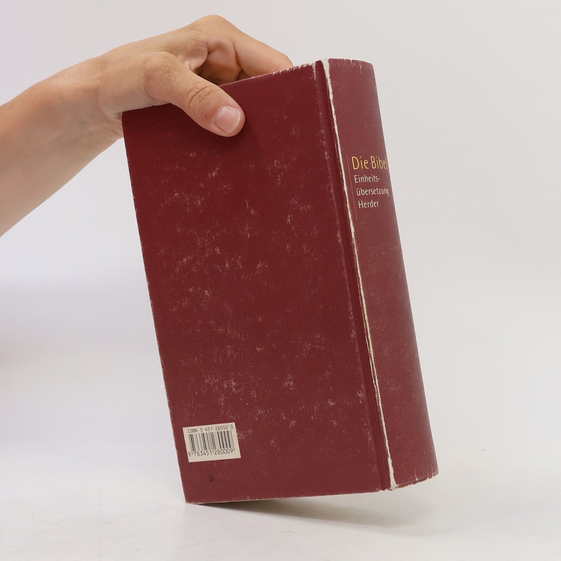 Kolektiv autorů Die Bibel