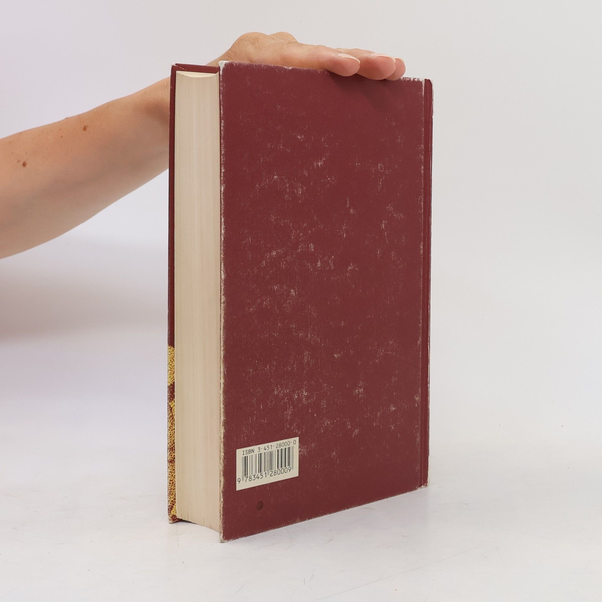 Kolektiv autorů Die Bibel