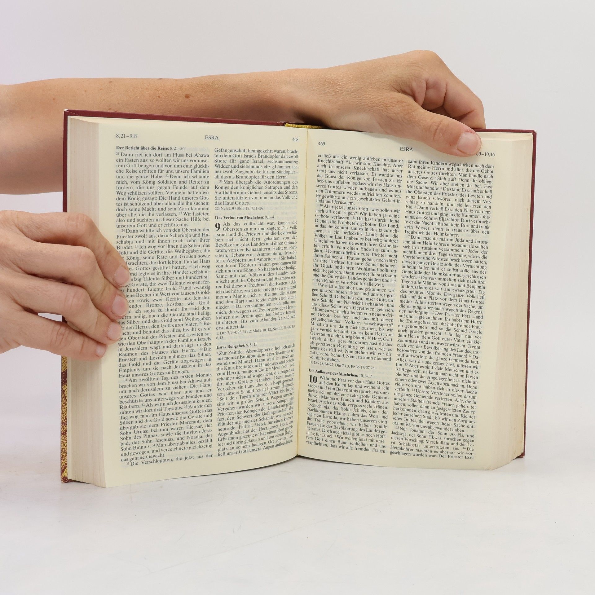Kolektiv autorů Die Bibel