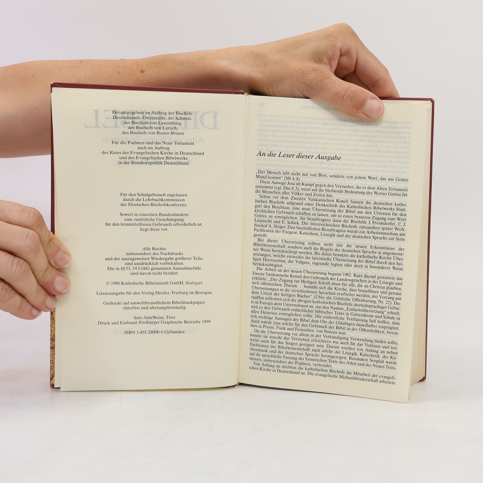 Kolektiv autorů Die Bibel