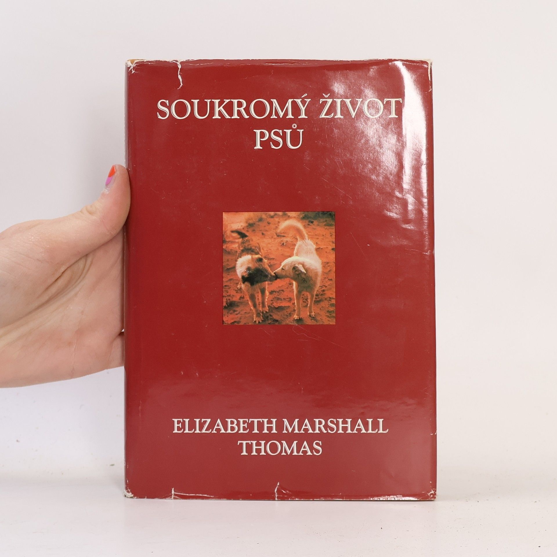 Milada Vencourová Soukromý život psů