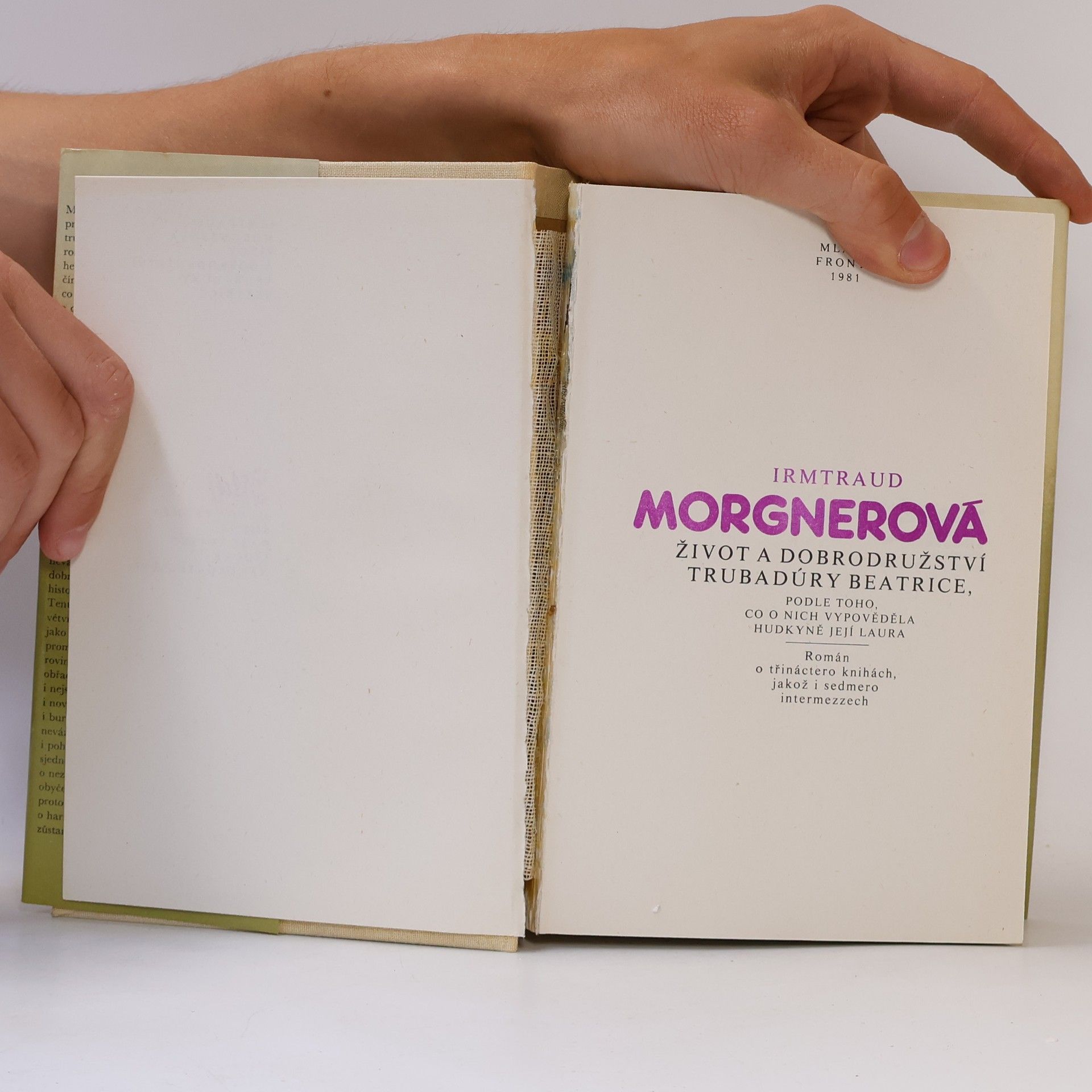 Irmtraud Morgner Život a dobrodružství trubadúry Beatrice